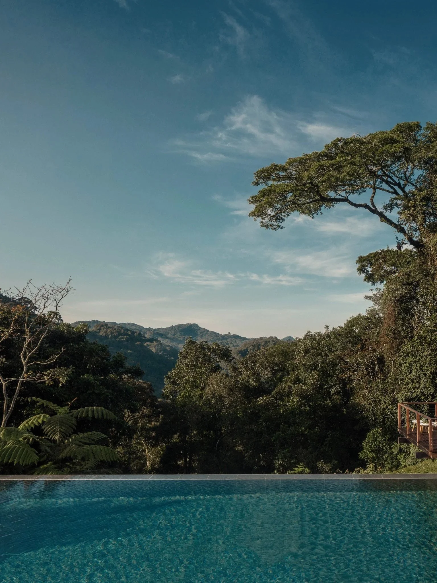 One&amp;Only Nyungwe House: slapen tussen theevelden