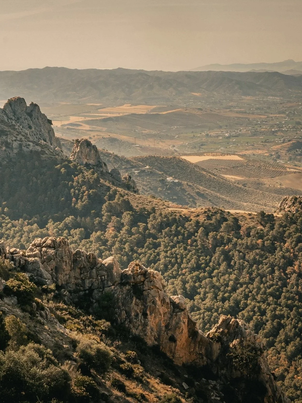 Rondreis Spanje: Andalusian Mélange