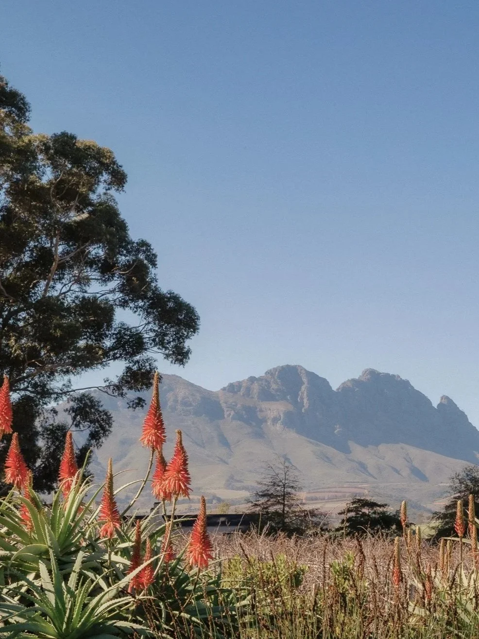 Rondreis Kaapstad &amp; Mauritius: from Cape to Coast