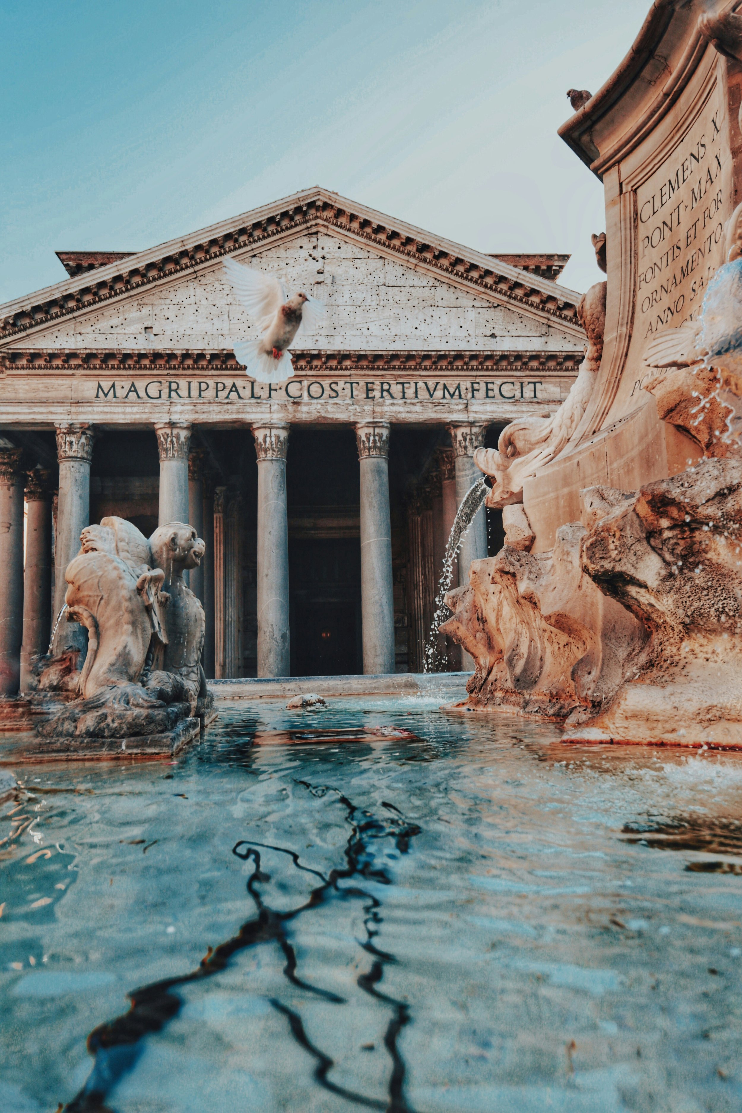 gloria-cretu-iek_zWEB0Fw-unsplash.jpg