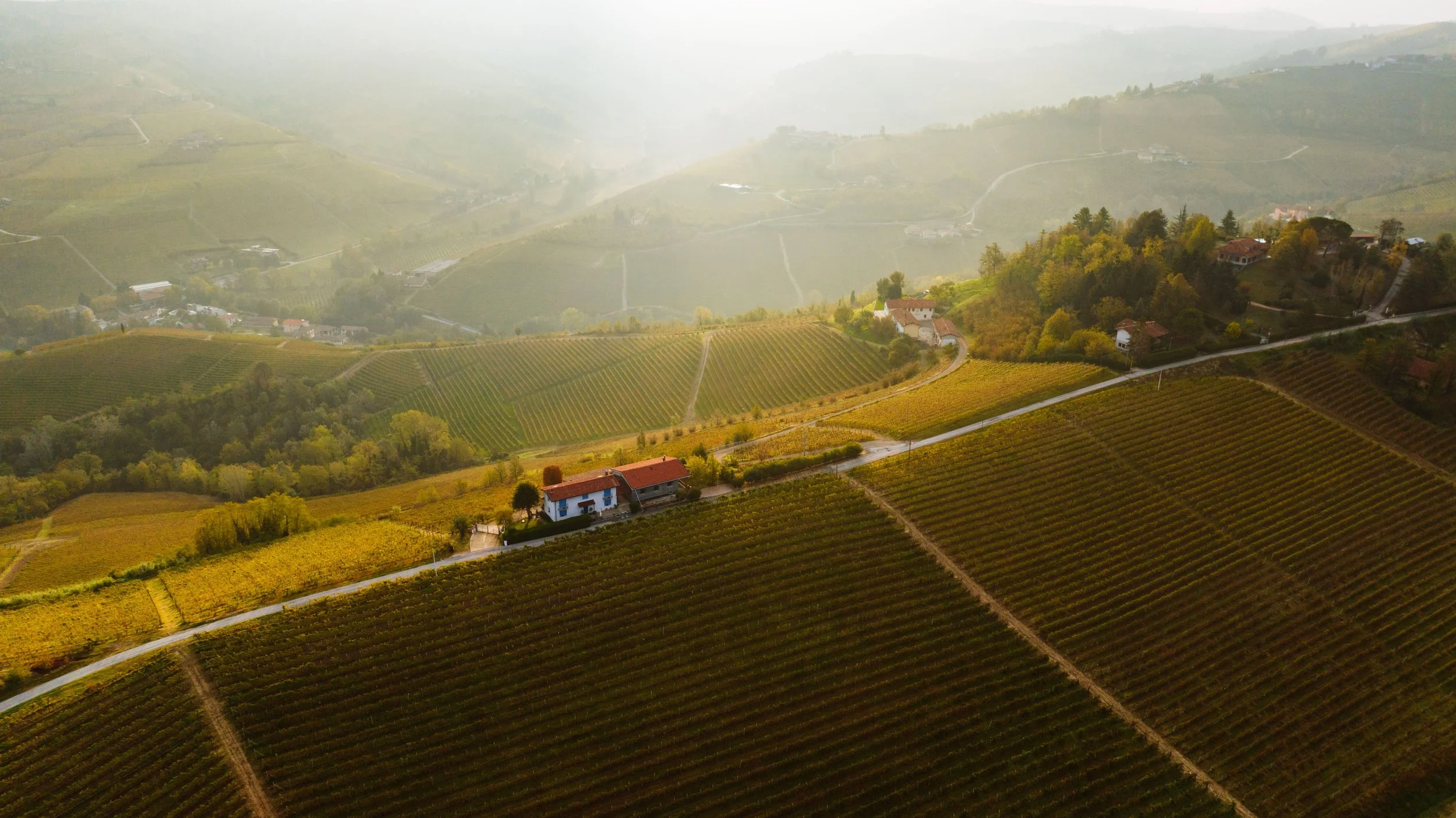 Sapori d italia - Langhe2.jpg