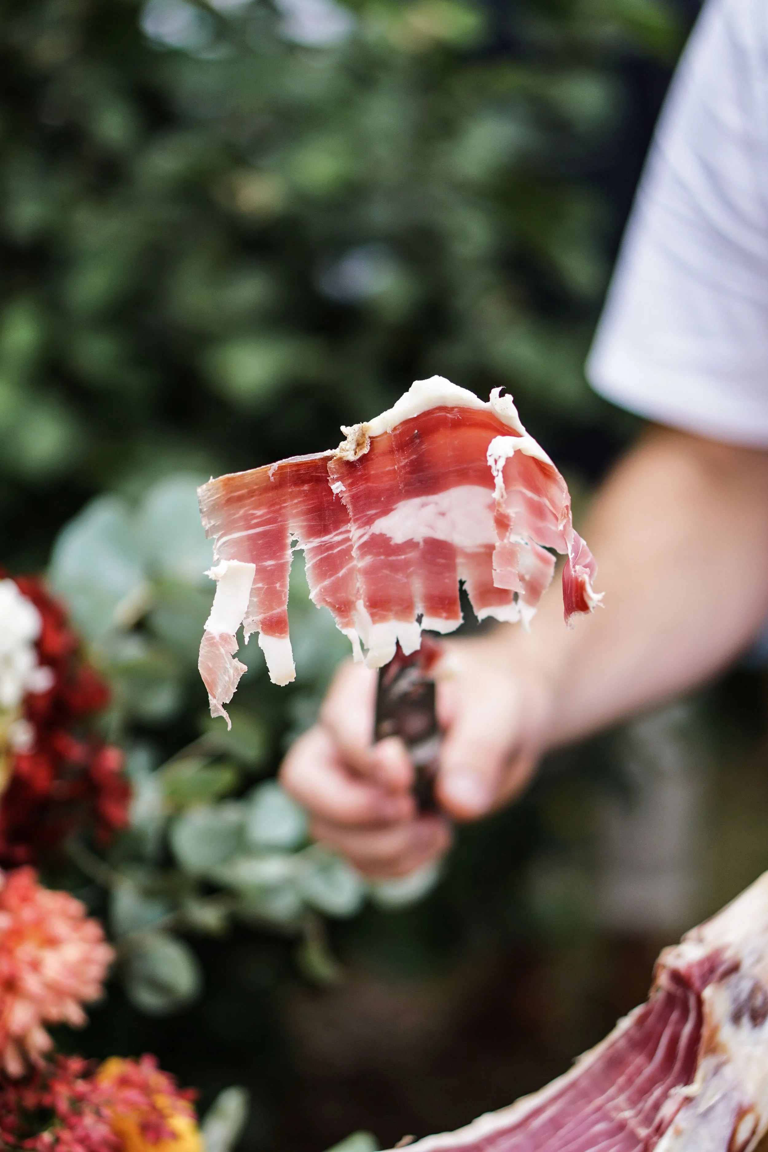 Parmaham1.jpg