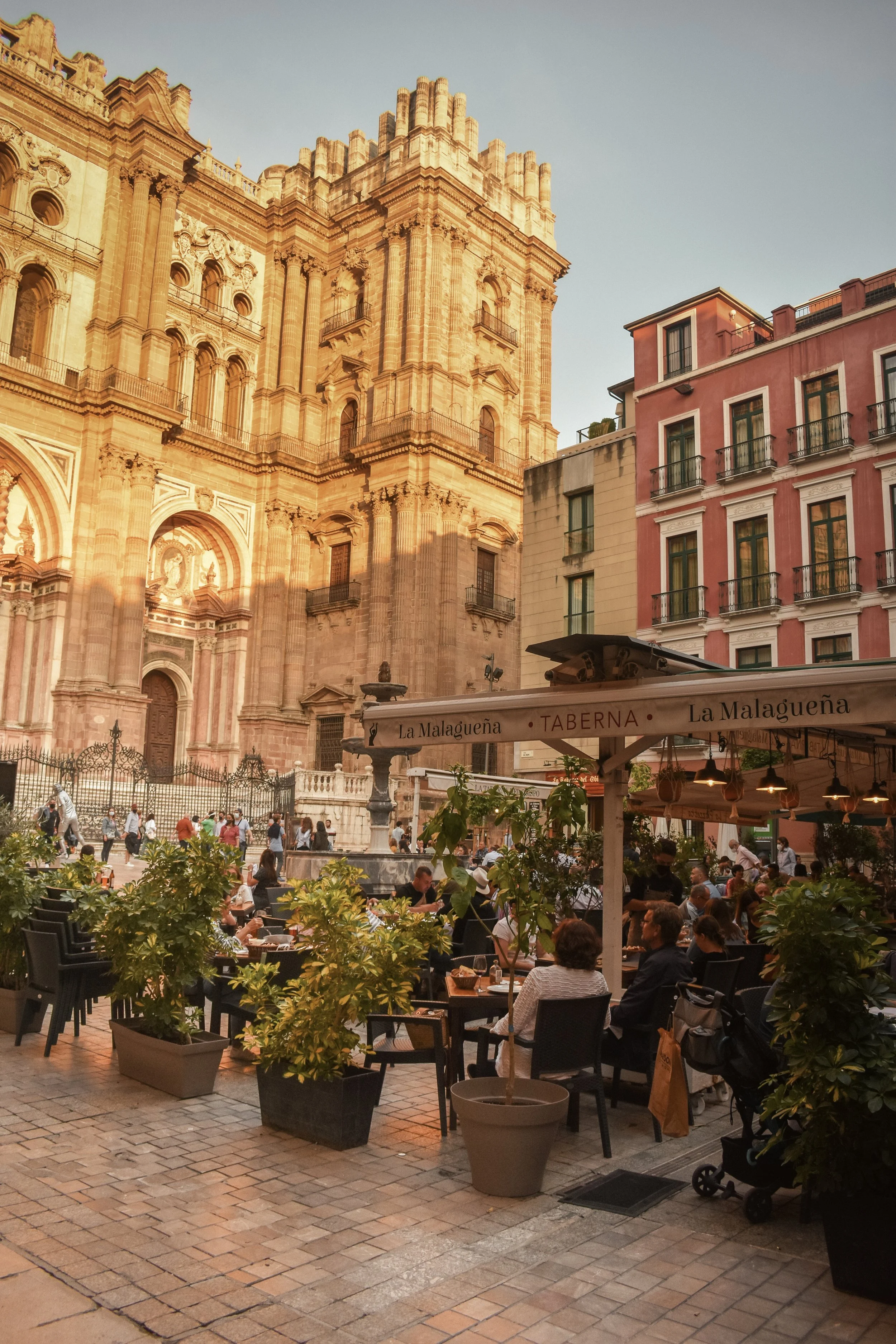 Andalucian Mélange - terras Malaga.jpg