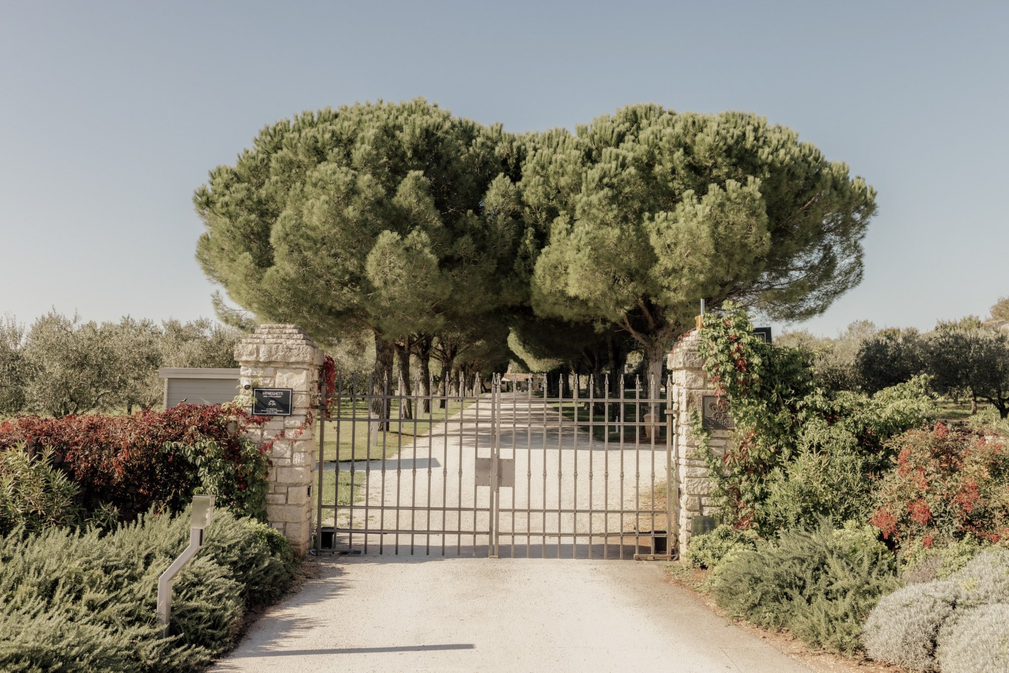 Meneghetti_Outdoors (1) (1).jpg