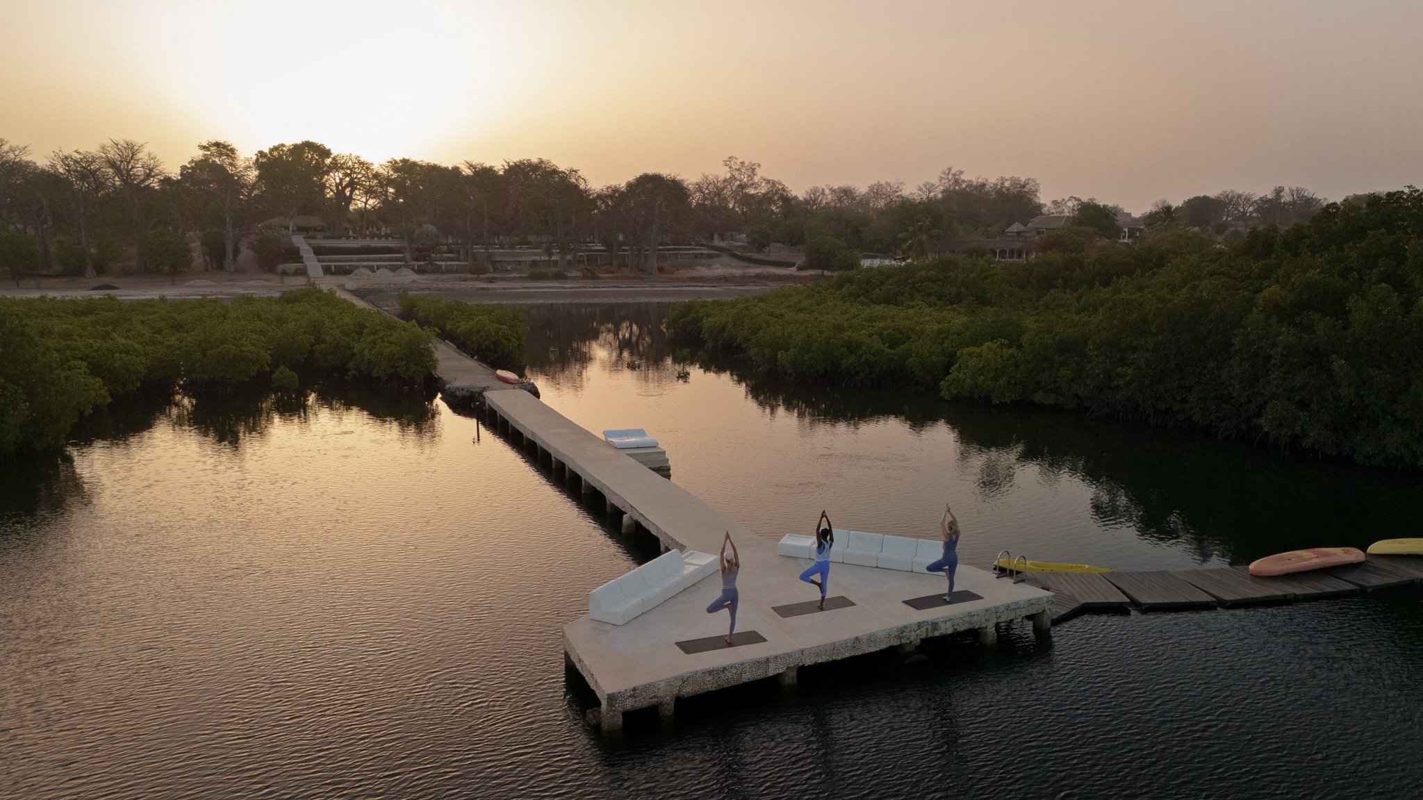 ponton  paletuviers.jpg