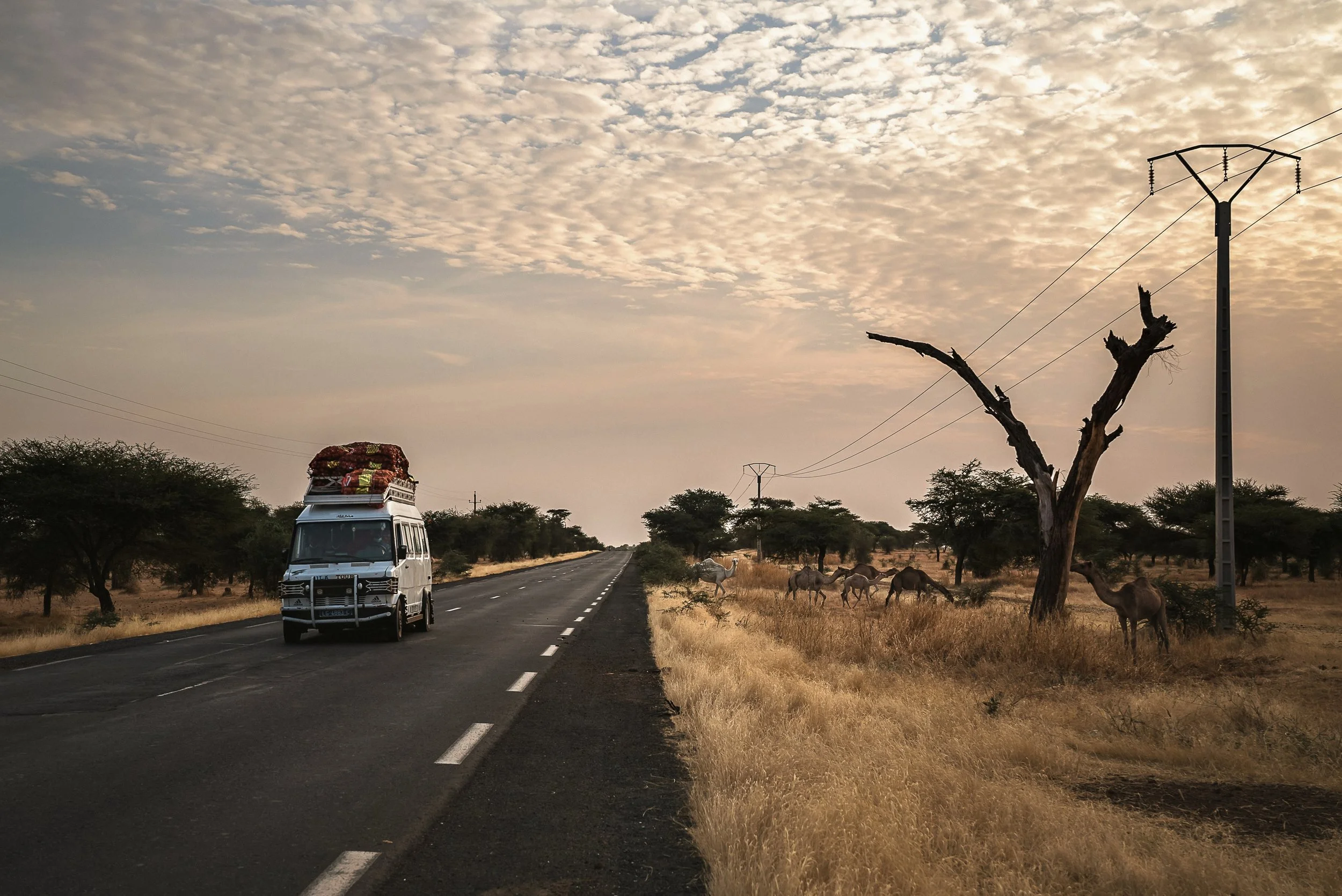 ewien-van-bergeijk-kwant-6SlIB057YQs-unsplash (2).jpg