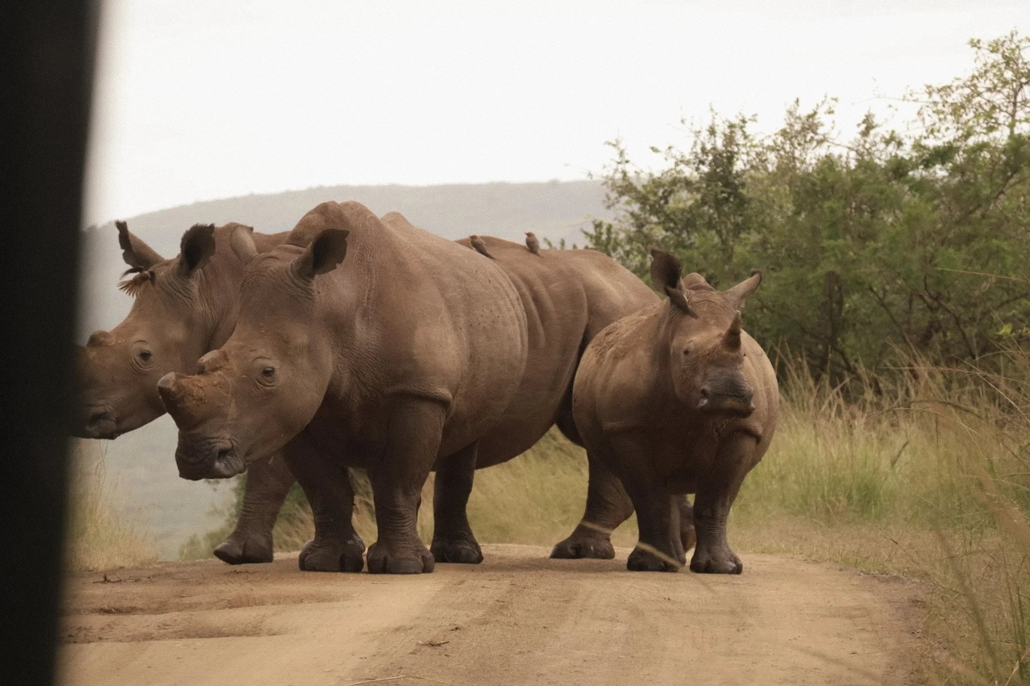 Foto 2-05-2025, 19 09 19 (1) (1).jpg