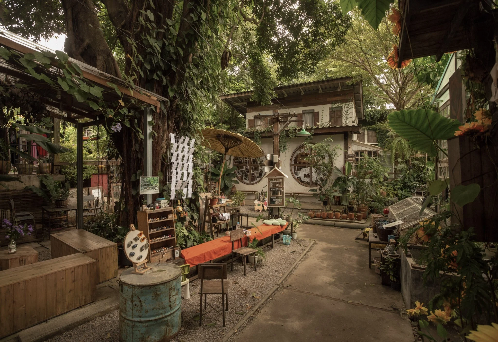 Outdoor Experience (3) (1).jpg