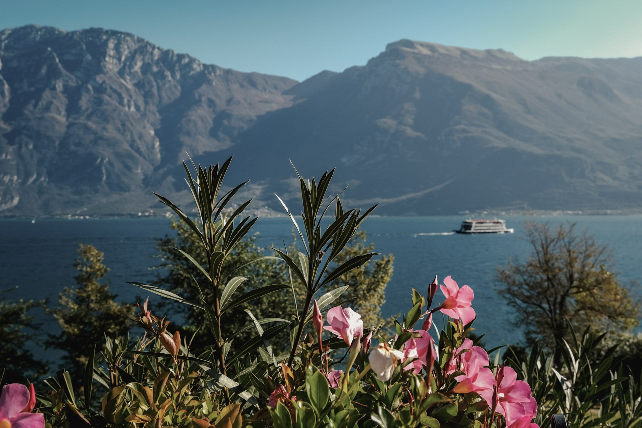 denisa-elena-ficau-4pVTi6X-hhc-unsplash (1).jpg