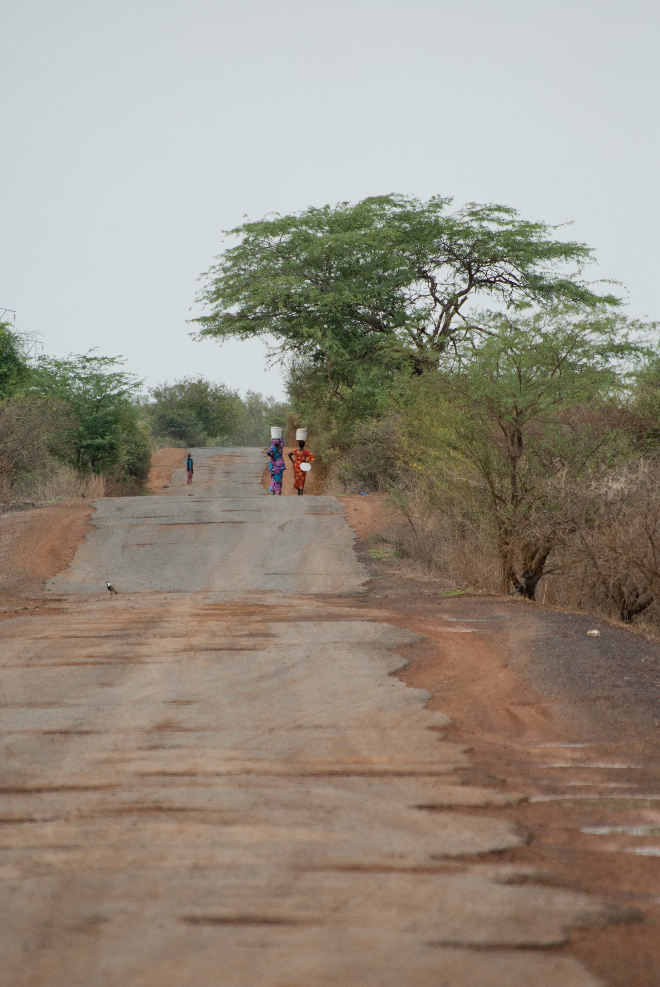 Senegal I.jpg