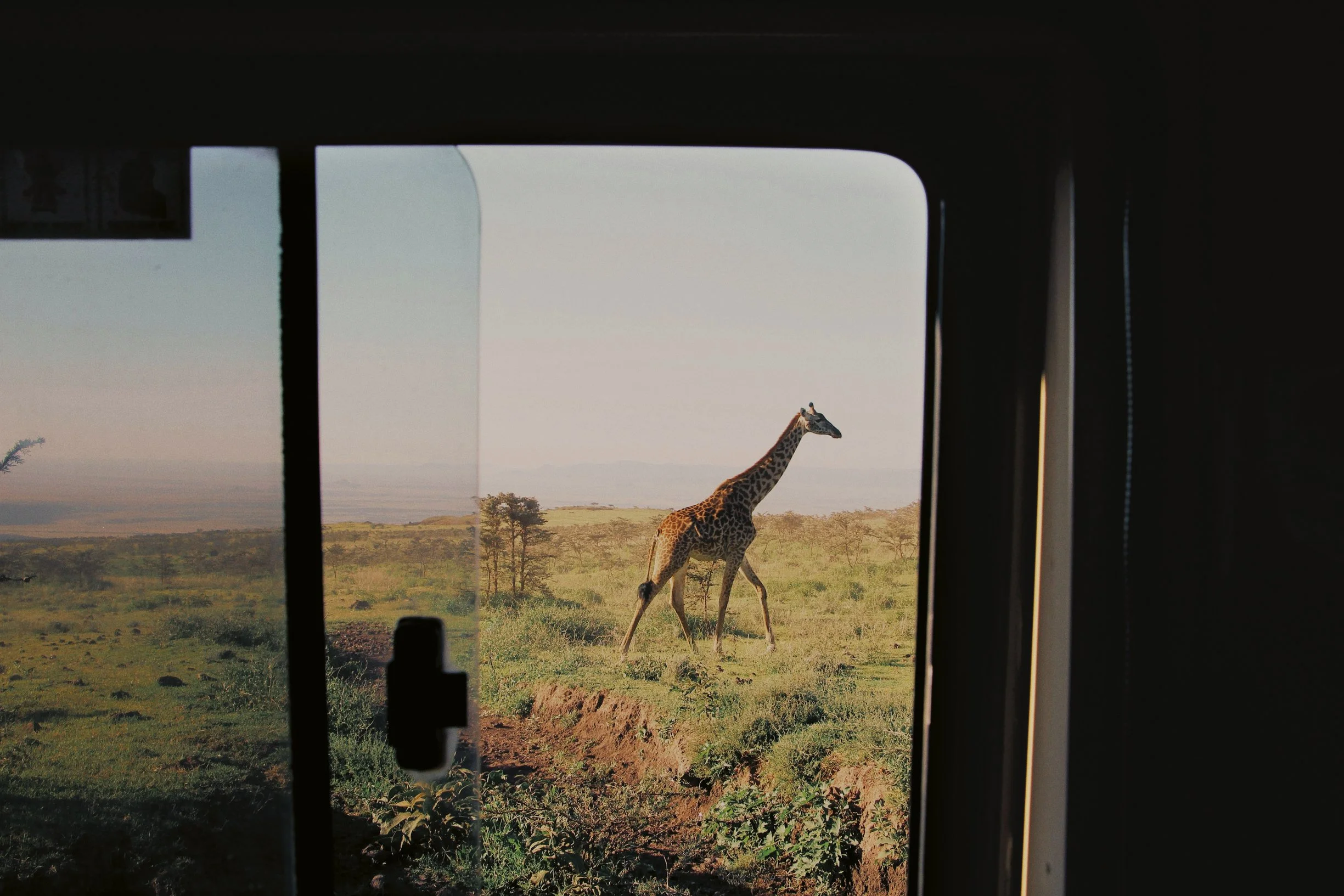 ellena-mcguinness-bLxPZkqBwxw-unsplash copy.jpg