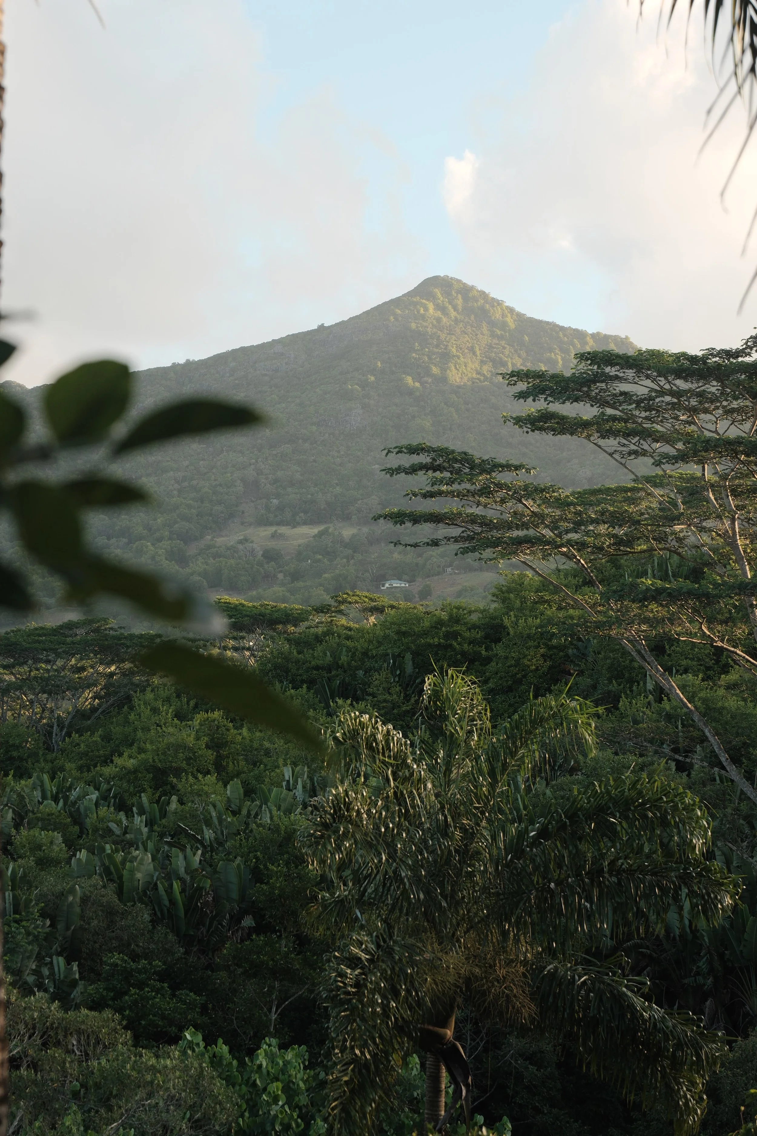 Mauritius 15.jpg