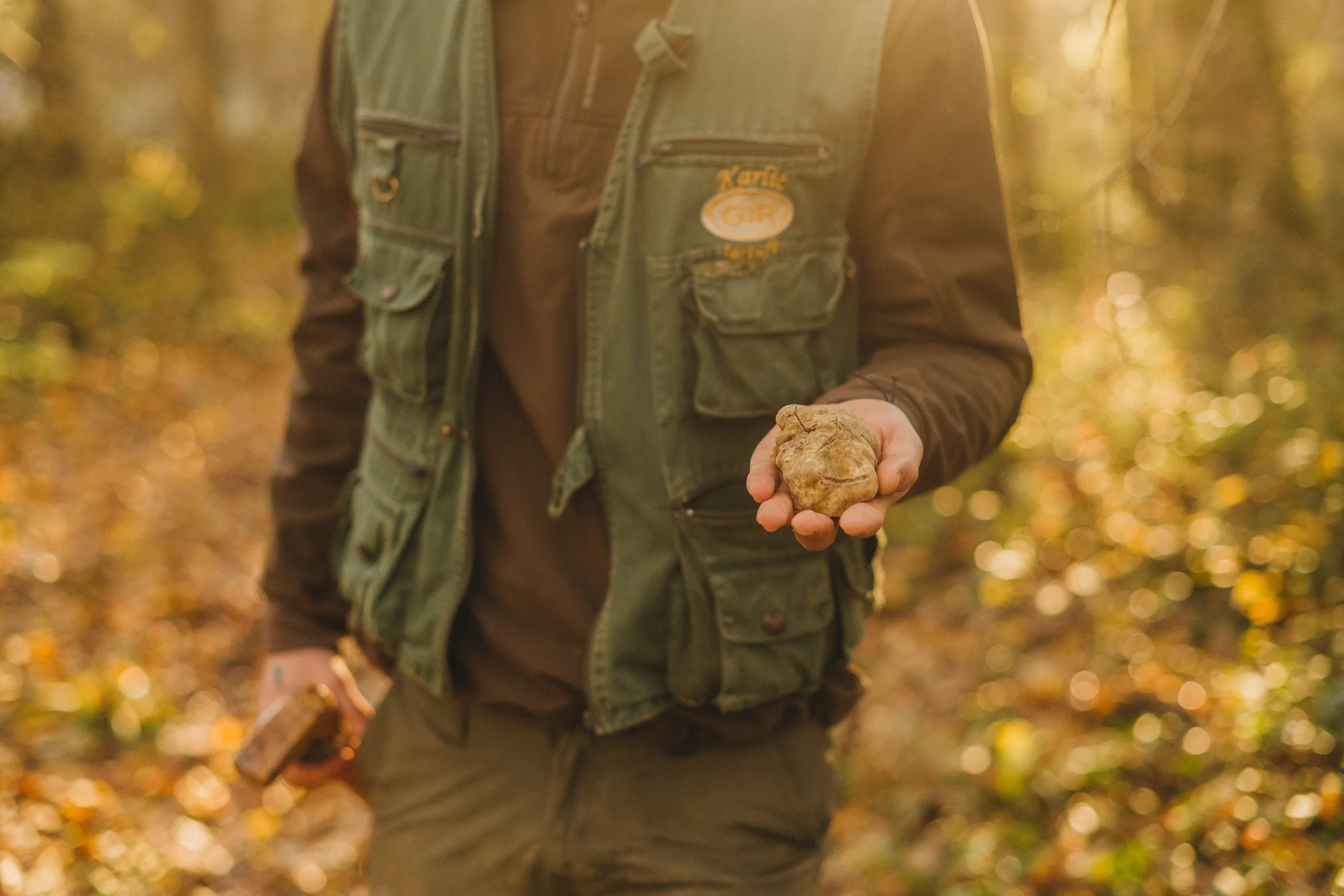 Truffeljacht Kroatie 1.jpg