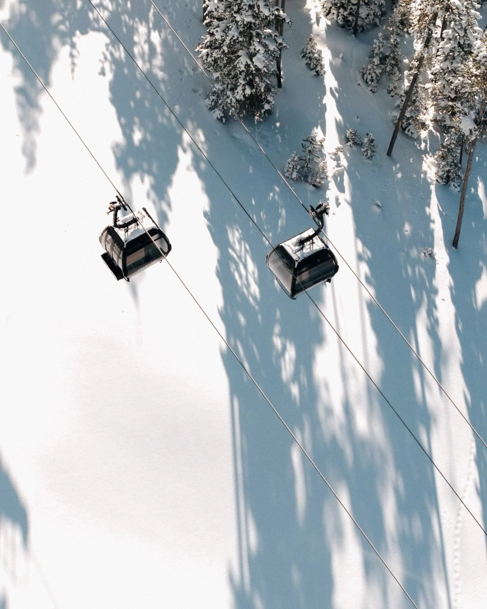 OneOnly-Gondola.jpg
