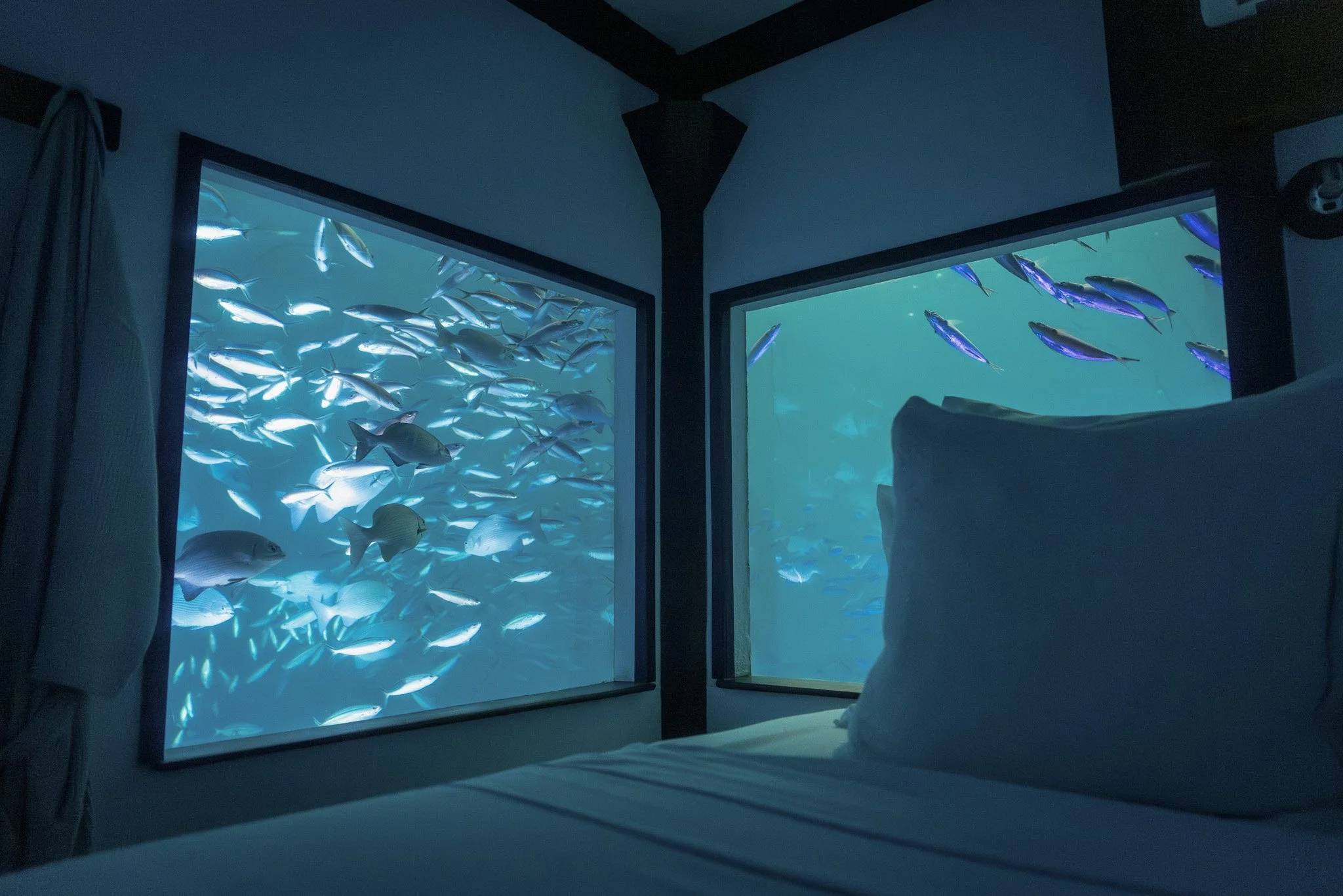 Franz Thiel_UWR1.jpg