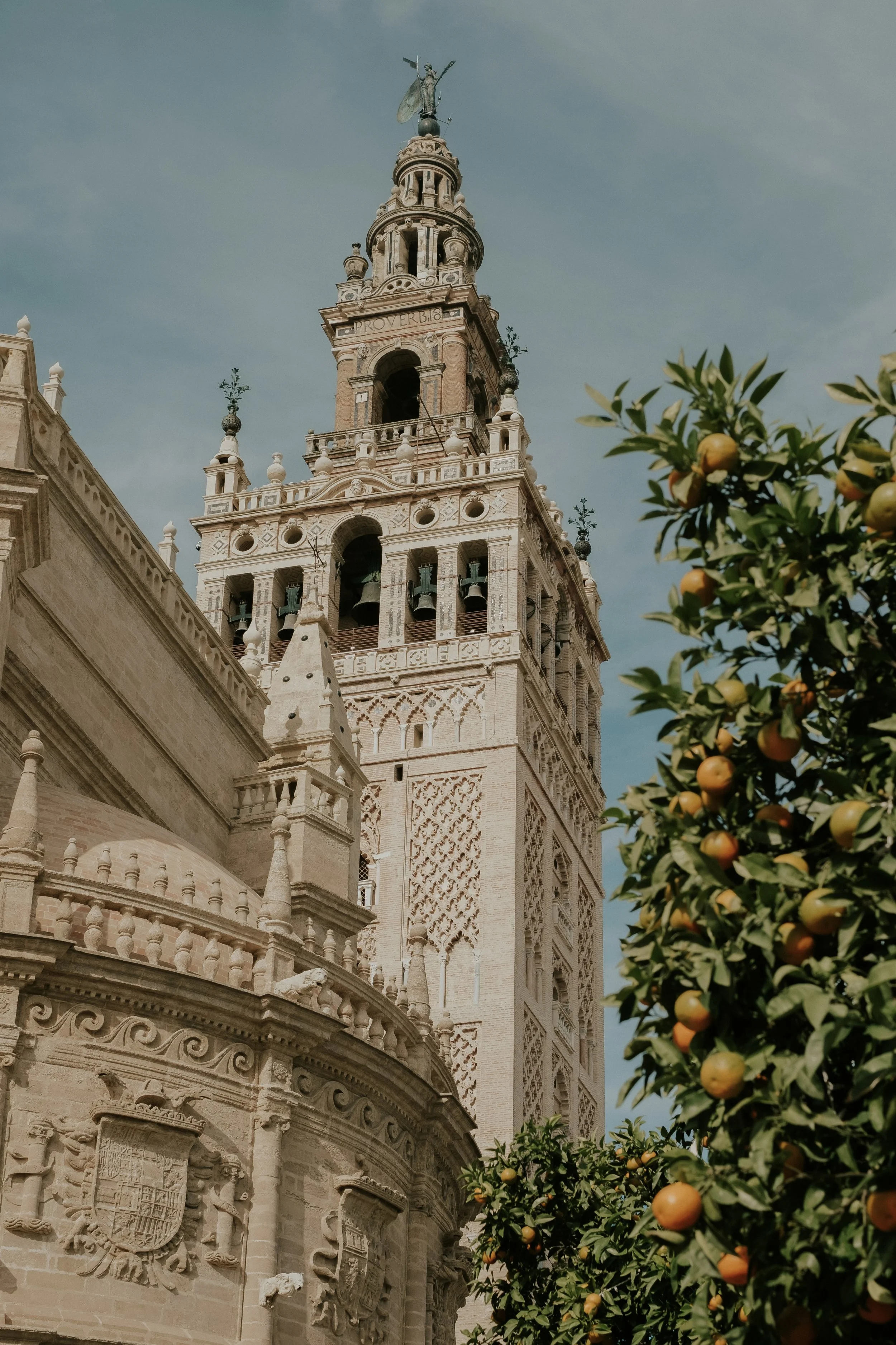 Andalucian Mélange - Sevilla9.jpg