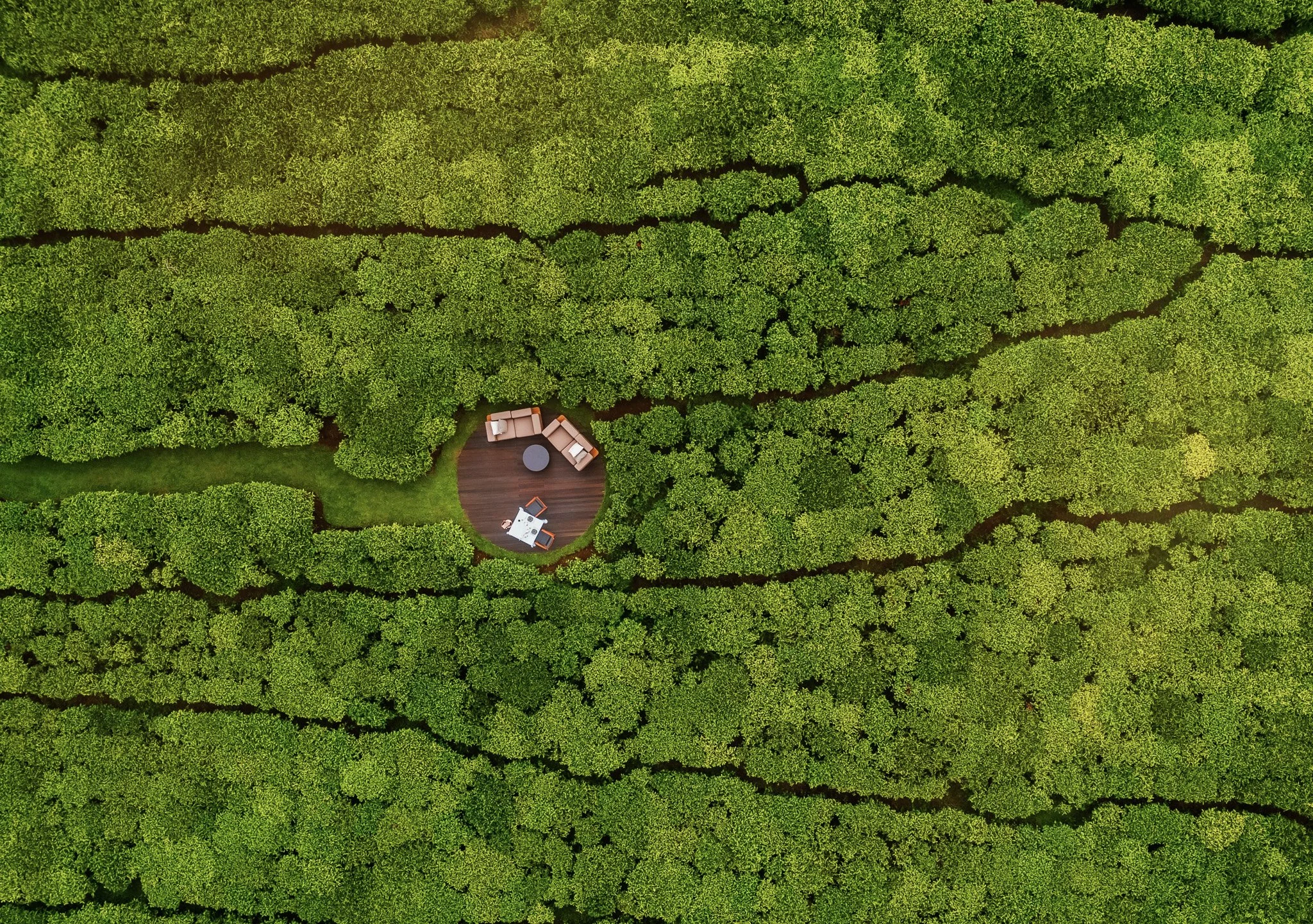OO_NyungweHouse_Drone_Tea_Deck_0715_MASTER.jpg
