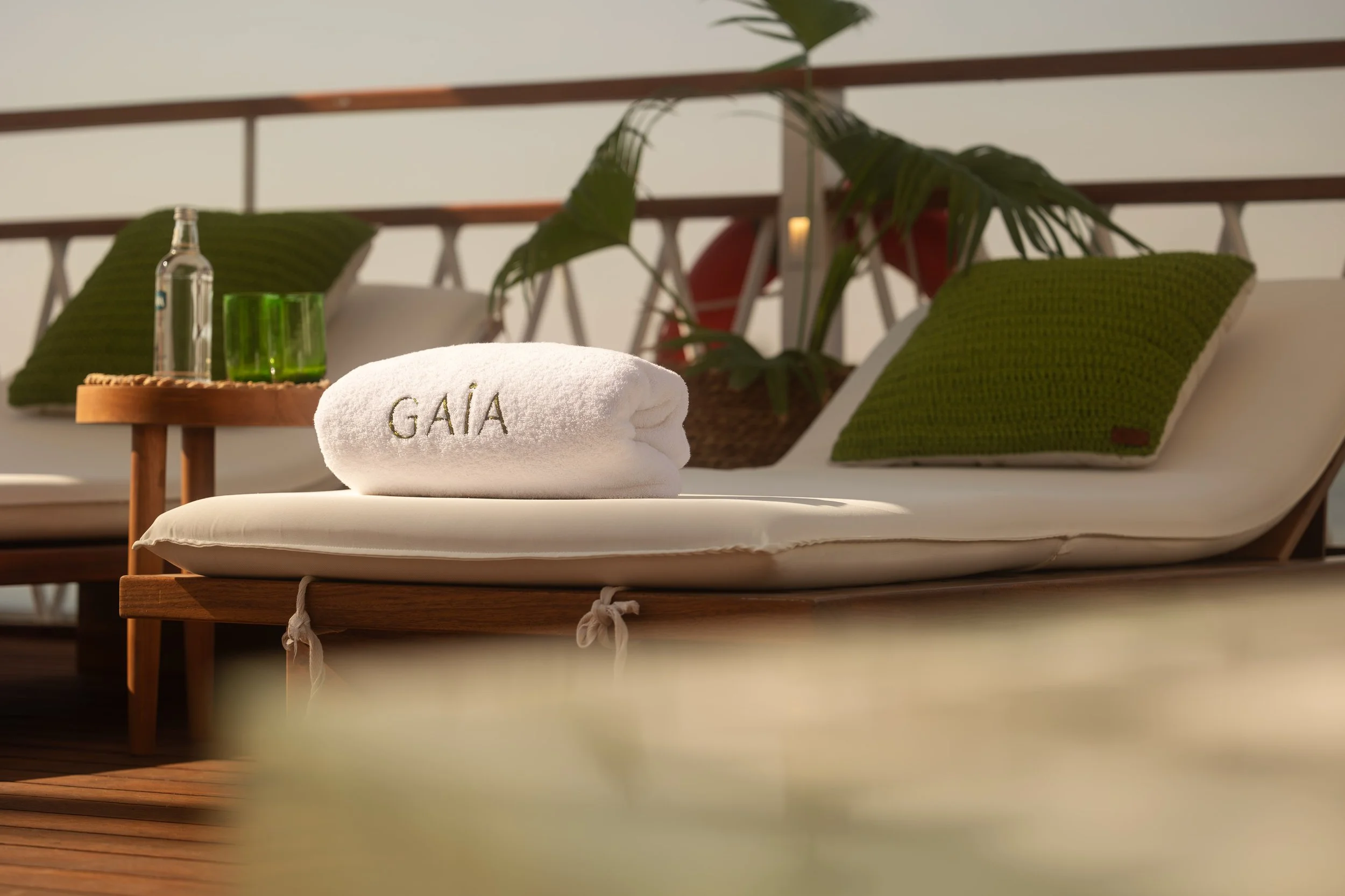 Gaia nijlcruise 10.jpg