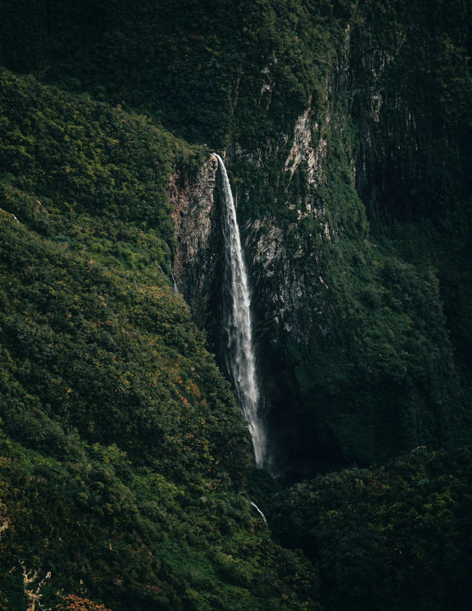 woody-van-der-straeten-XDgBPSHKmBs-unsplash (1).jpg