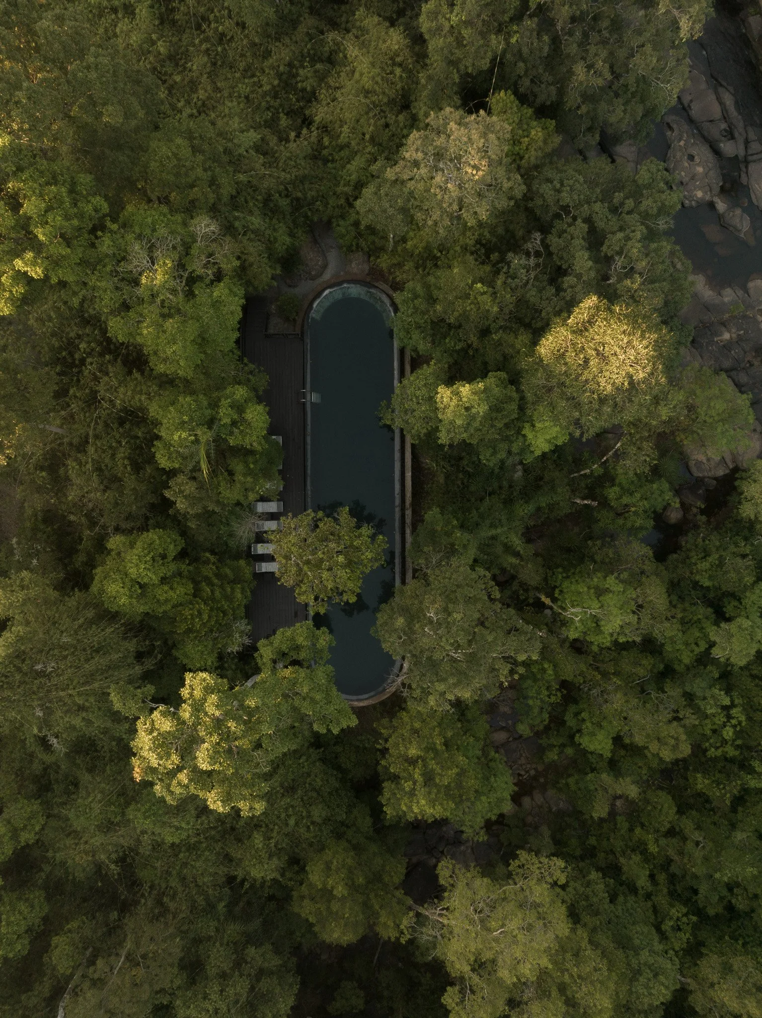 Copy of ShintaManiWIld-SwimmingPool-Hr10.jpg