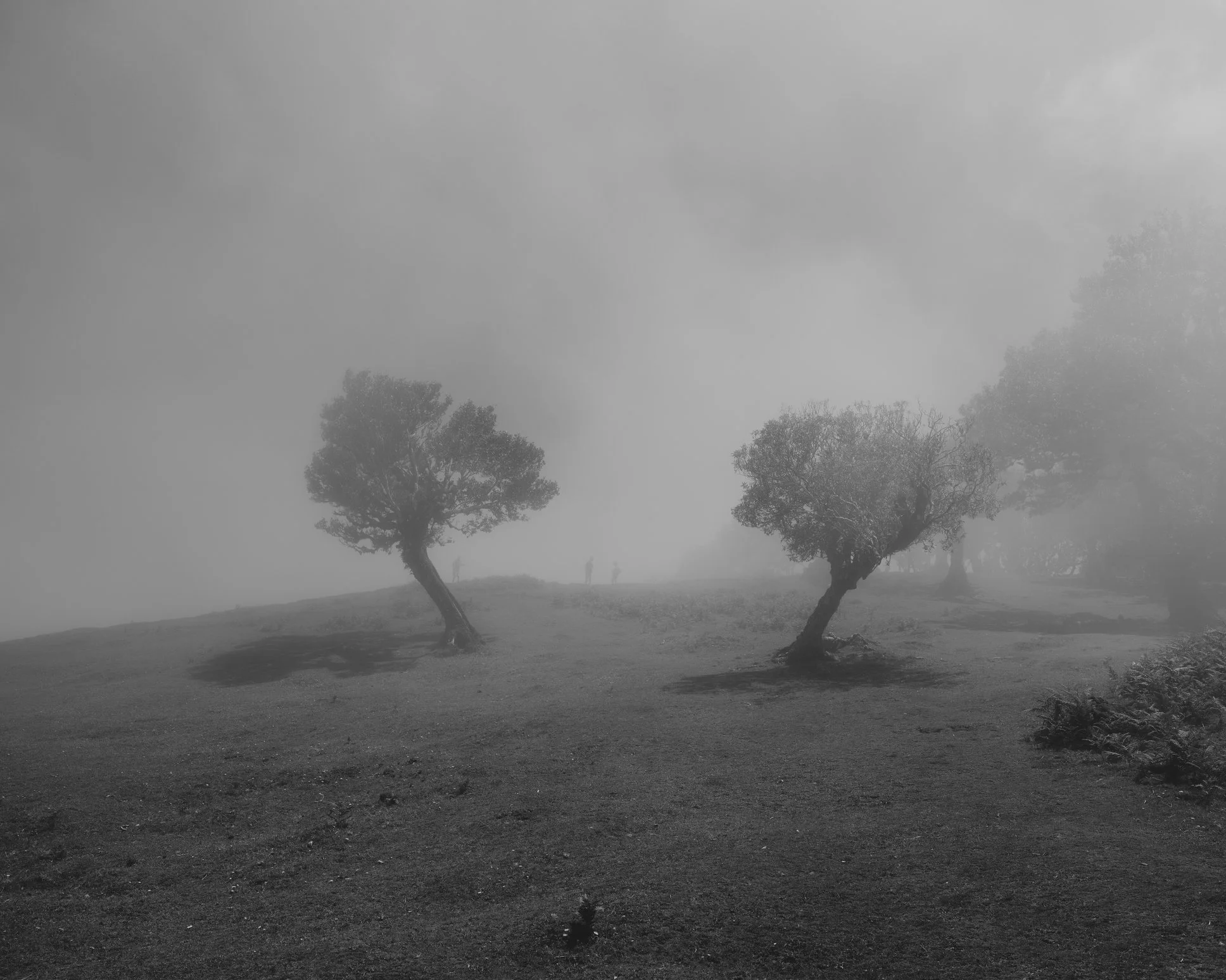 DSCF6270.jpg