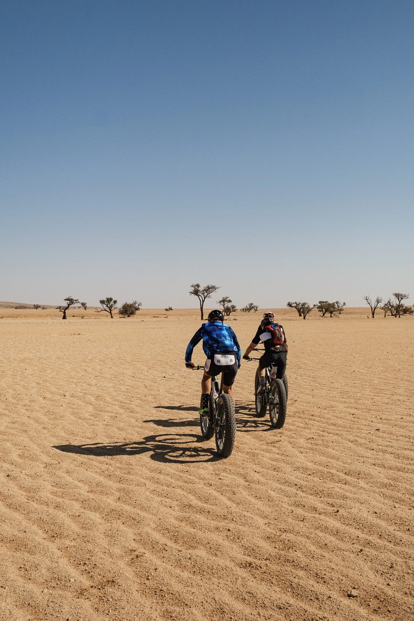 Fat Bike Namibie 9.jpg