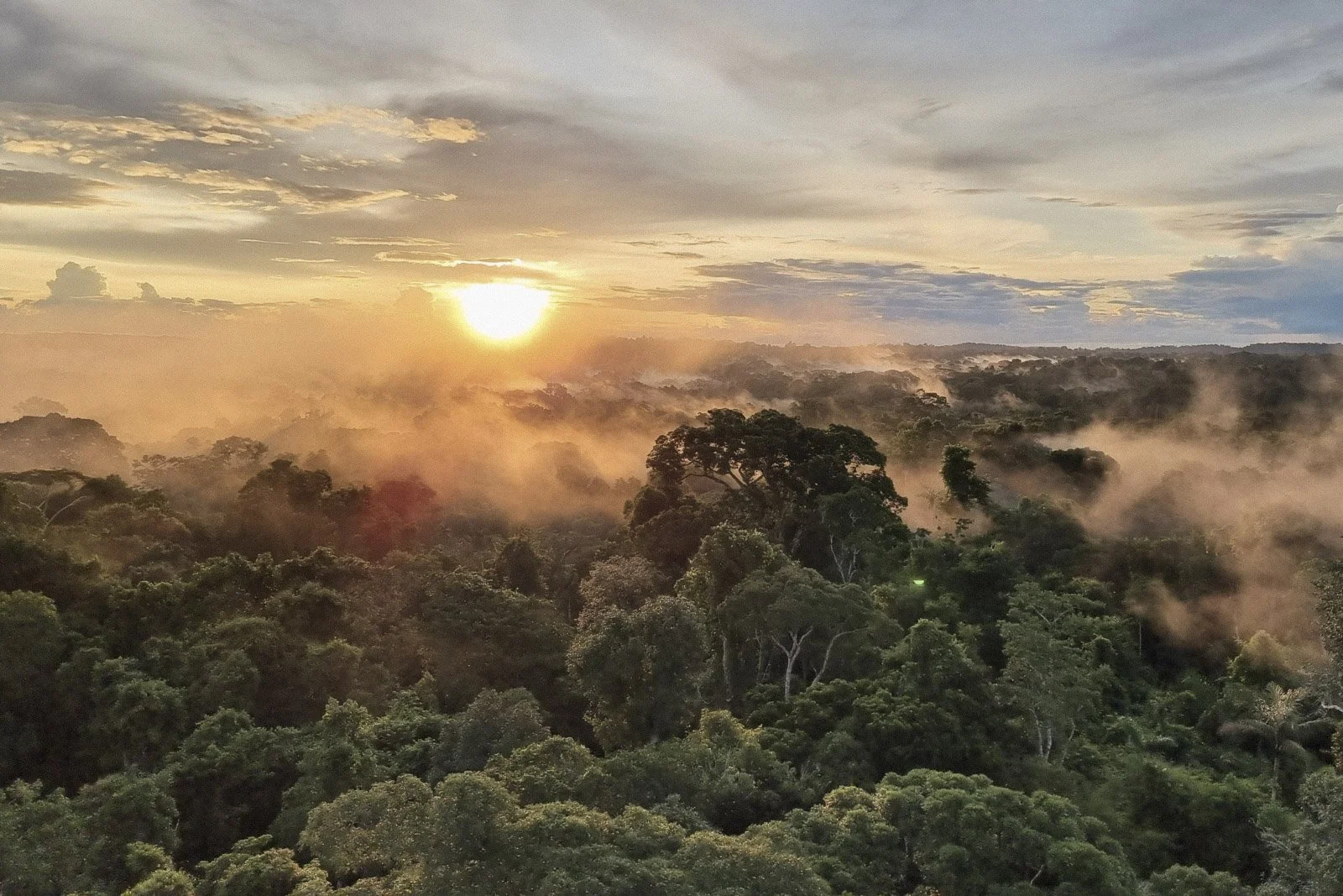 39-CL-Sunrise at Canopy Tower-Rafael Ferraz.jpg