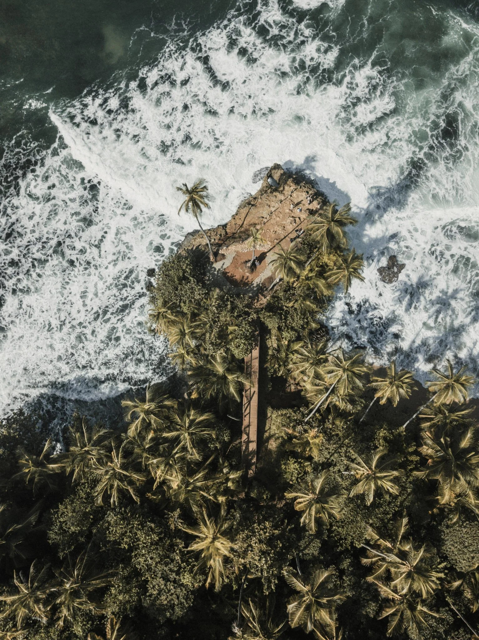 21-luis-diego-aguilar-H4uBNJ93j10-unsplash.jpg