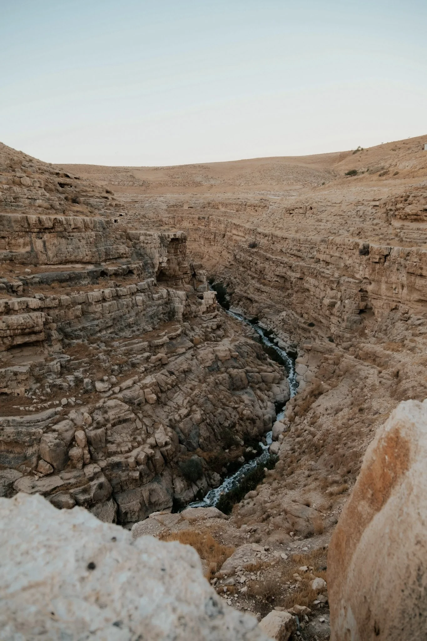 sergey-leont-ev-F_oeSpT-NKw-unsplash (1).jpg