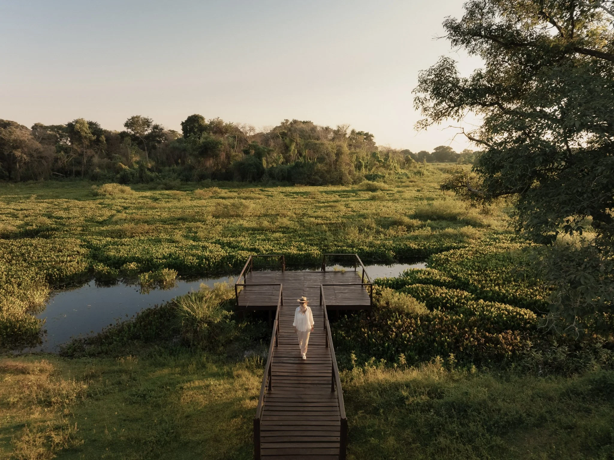 48-Casa Caiman - Caiman, Pantanal - Matias Ternes 0.jpg