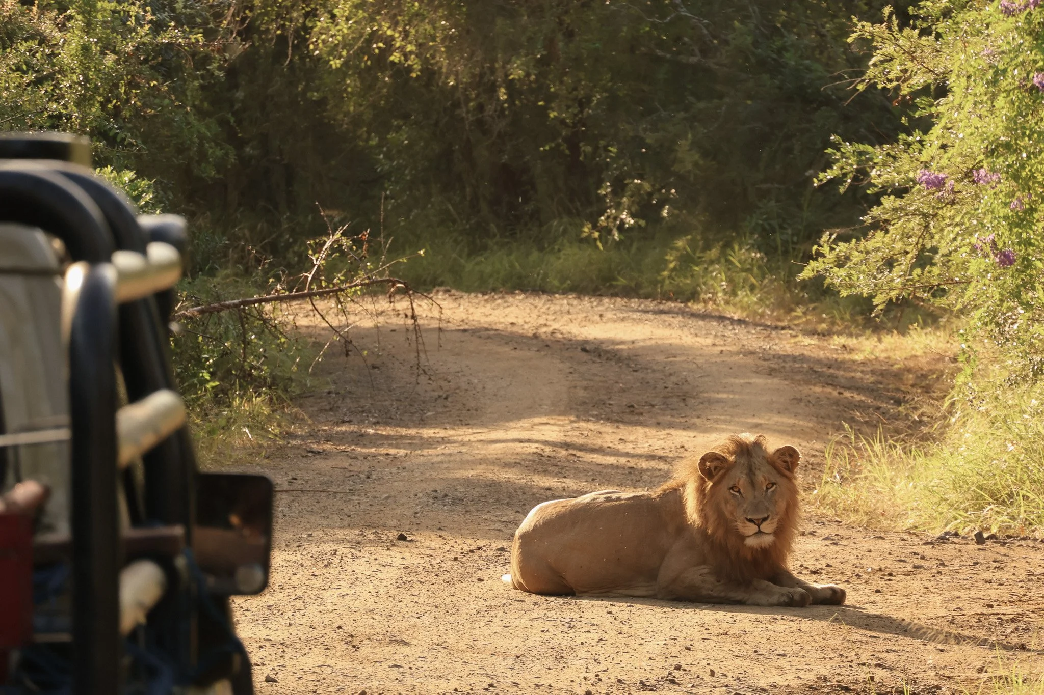 Rondreis Zuid-Afrika.jpg