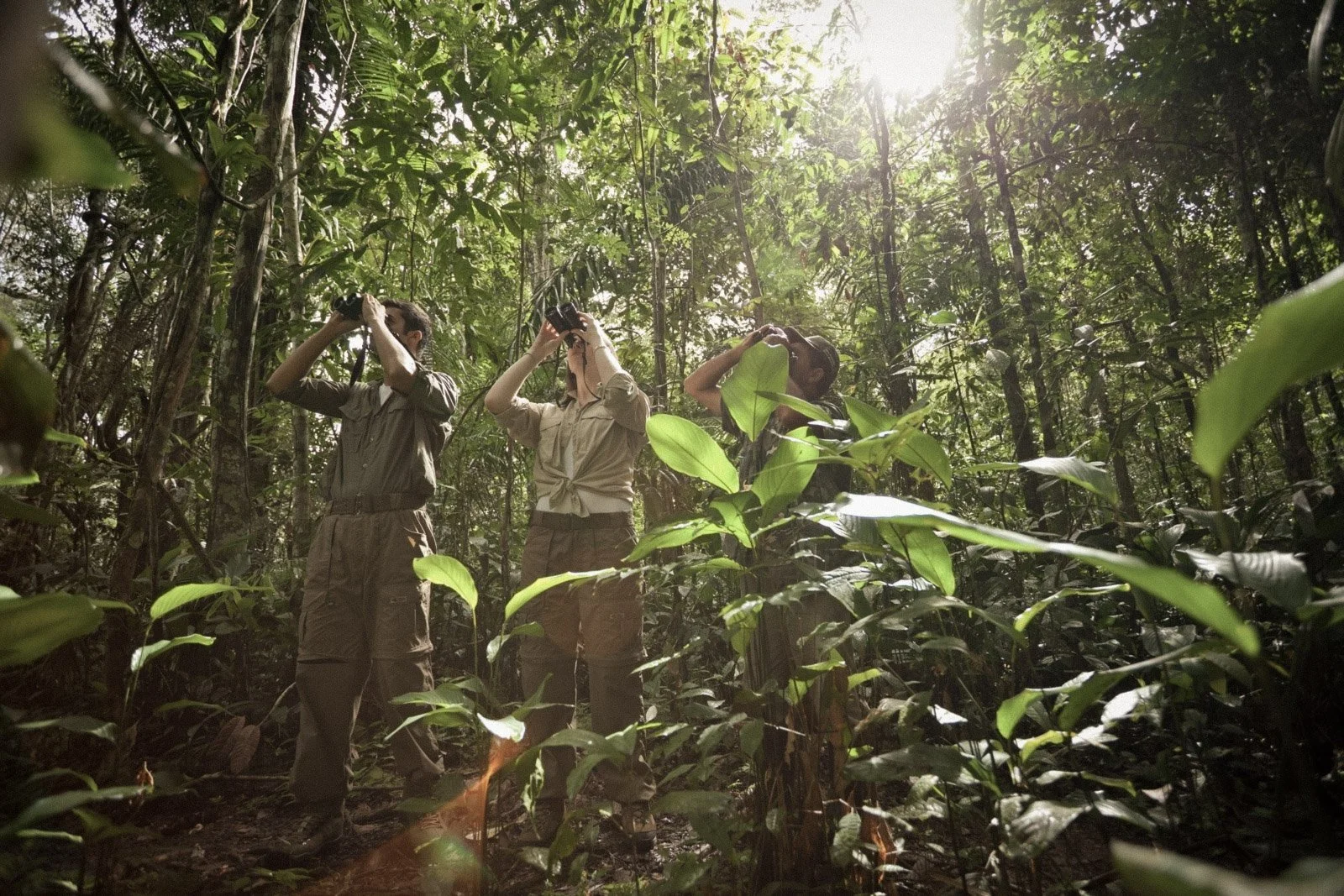 16-CL-Tourists watching wildlife inside forest II-Samuel Melim.jpg