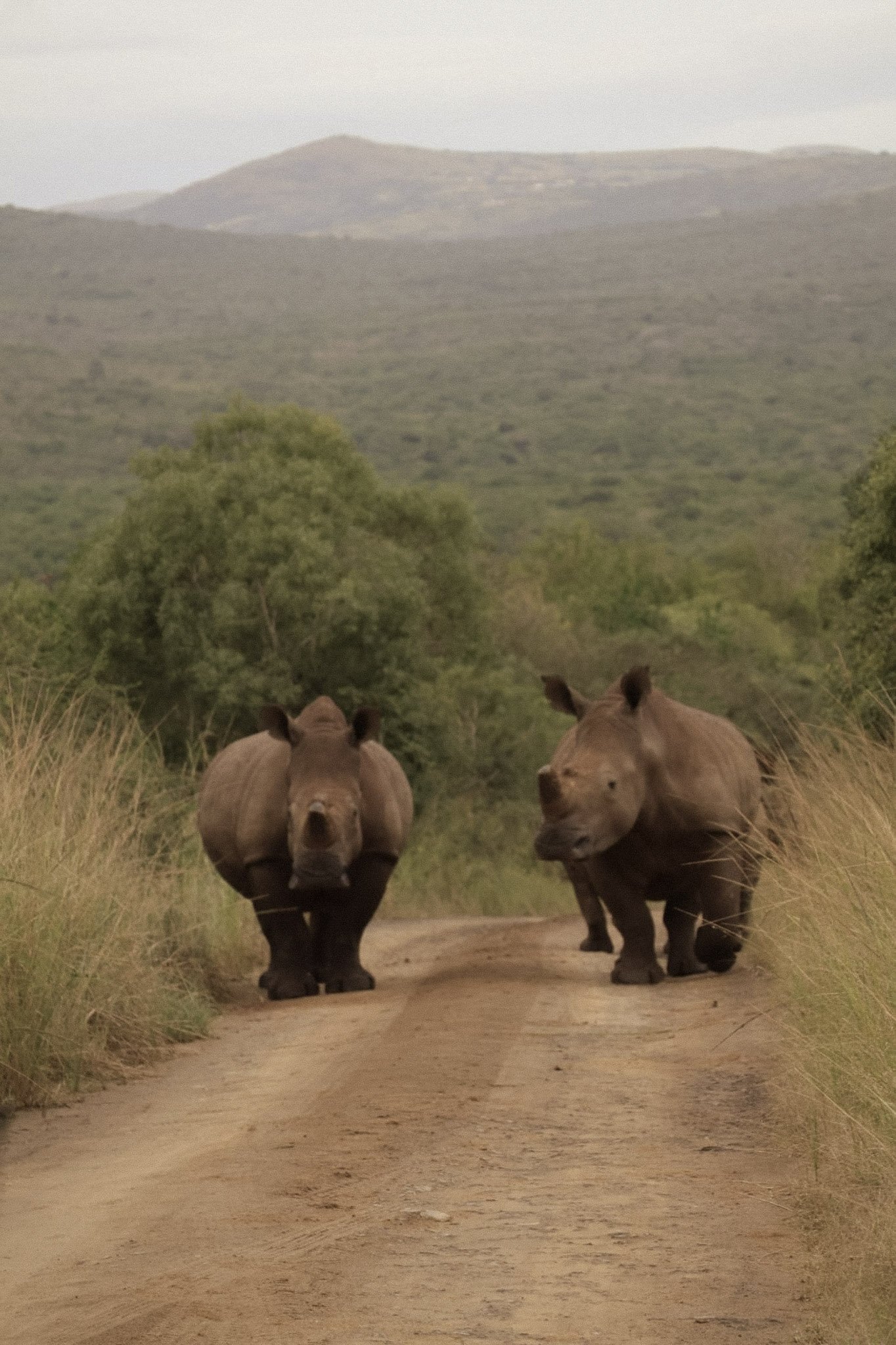 29-Photo 2-05-2025, 19 09 20 (2).jpg