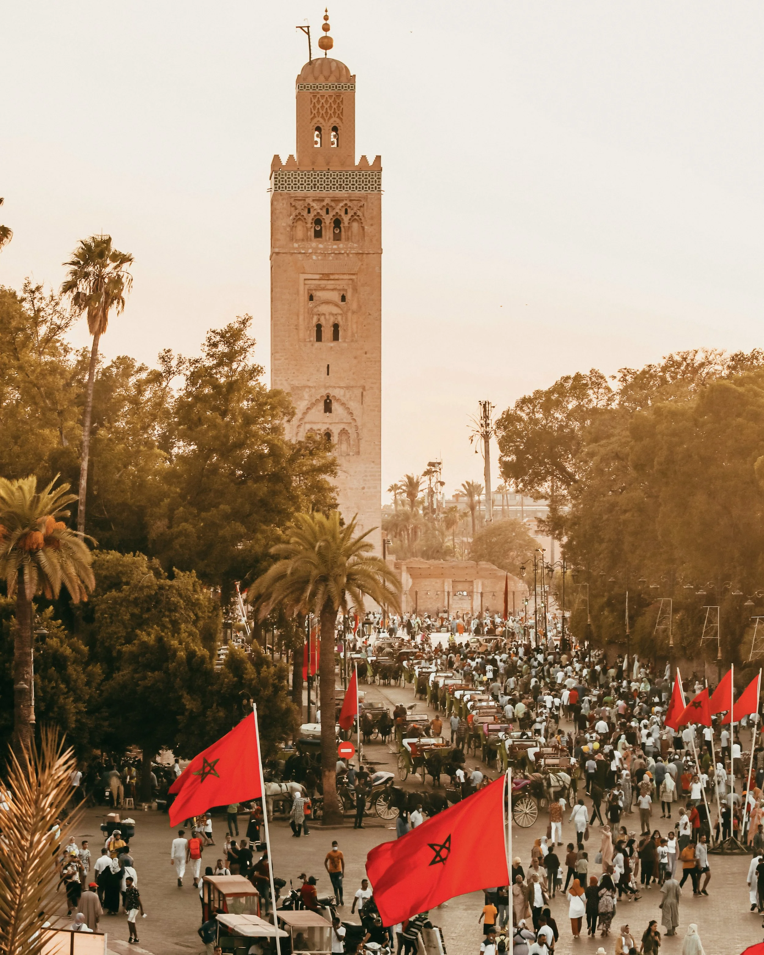 mehdi-el-marouazi-JswbxAObJ5A-unsplash.jpg