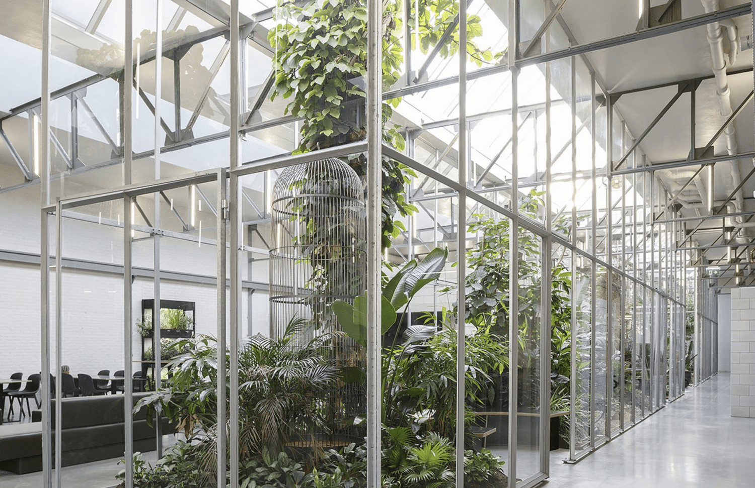 Scherm­afbeelding+2025-07-05+om+17.46.31.png.webp