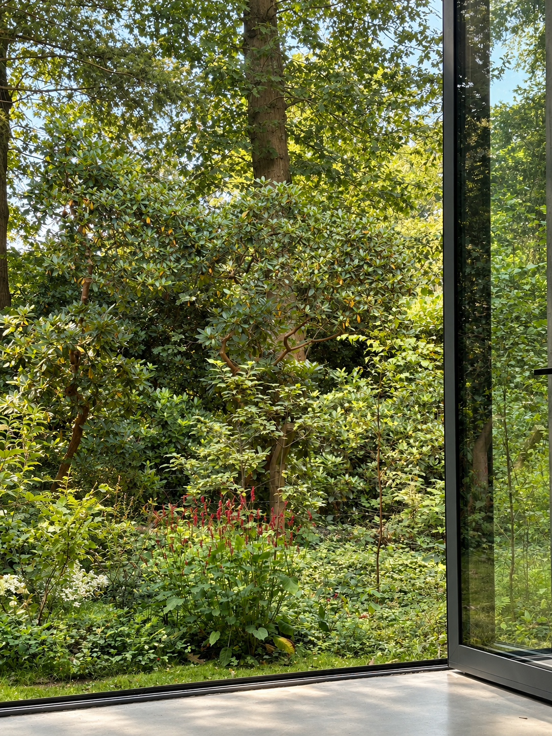 Rustige tuin door glazen deuropening.png