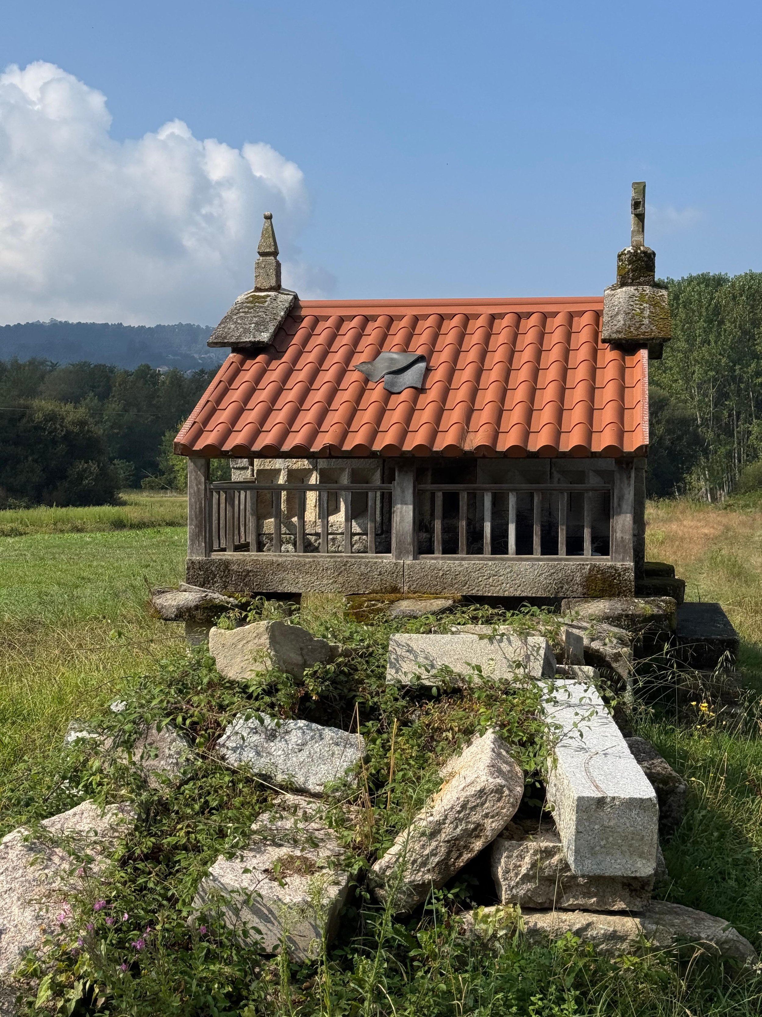 Small abandoned stone house with a red tile roof, surrounded by overgrown grass and rocks, with a backdrop of trees and blue sky.