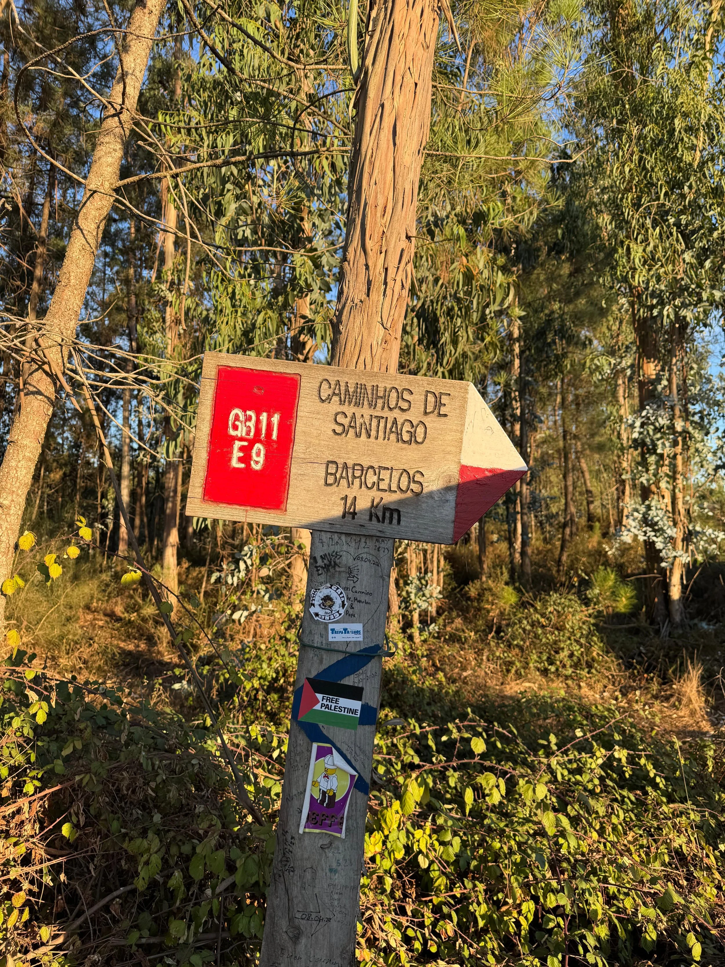 A wooden trail sign attached to a tree indicating the direction to Santiago and Barcelos, 14 km away, with various stickers on the post, in a forested area.