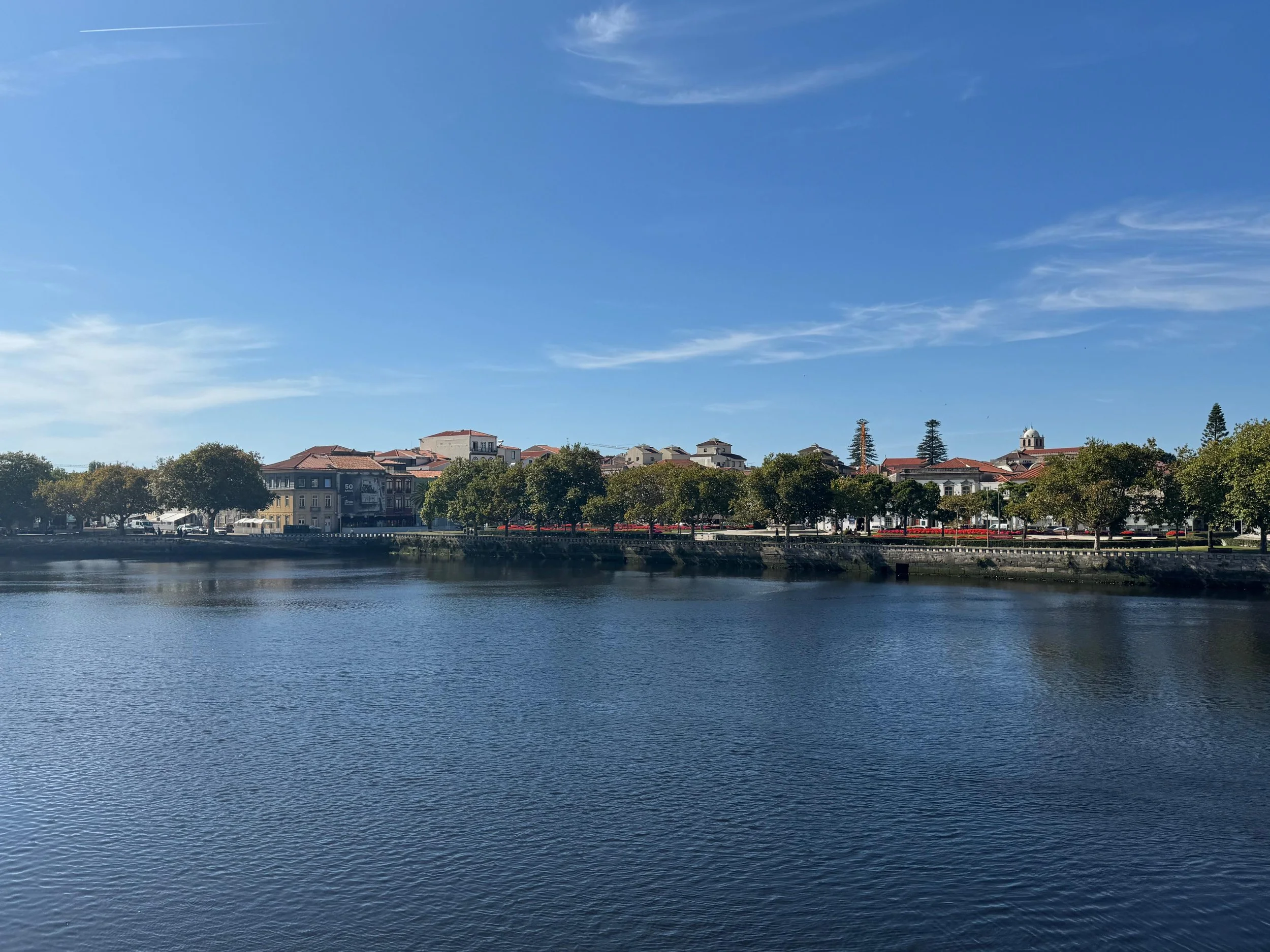 A river with calm water reflecting a row of trees and buildings on its bank under a blue sky with some clouds.