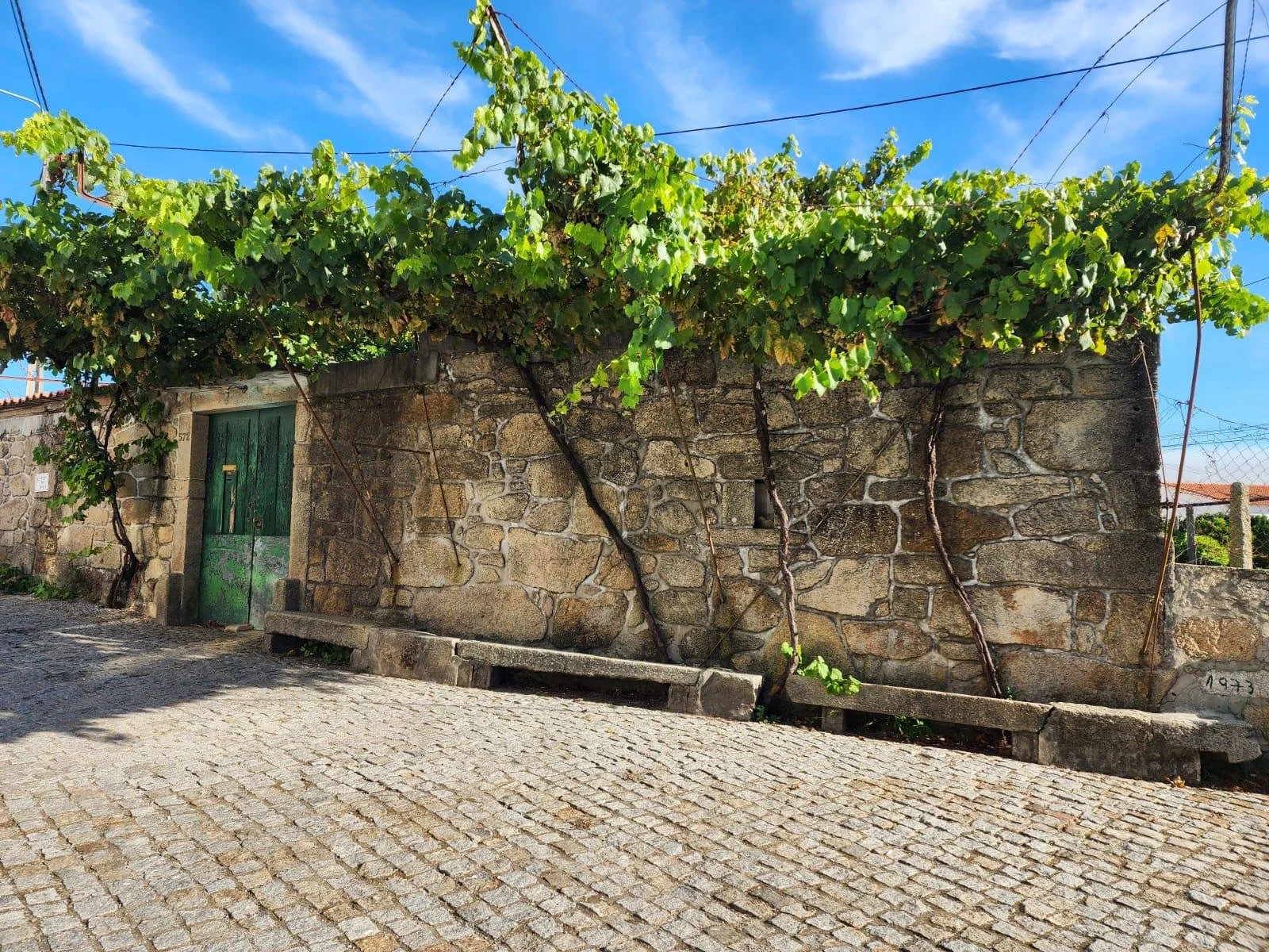 Stone wall with green vine growing over it, a wooden green door, cobblestone street in front, blue sky with a few clouds.