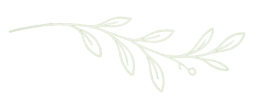 A light green, decorative floral branch with leaves on a white background.