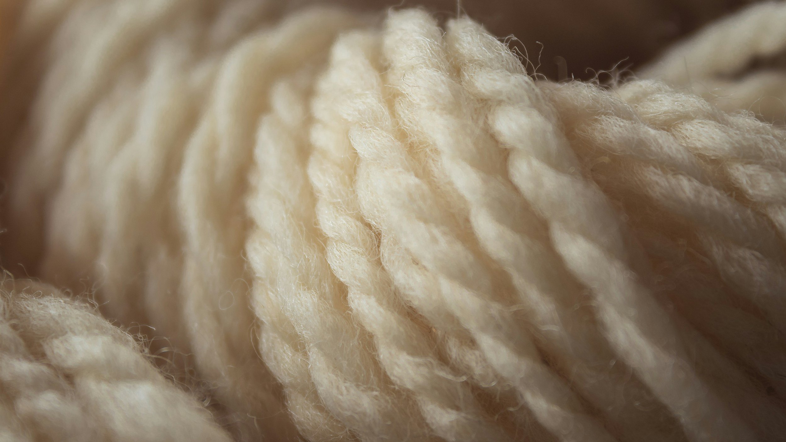 Close-up of cream-colored wool fibers.