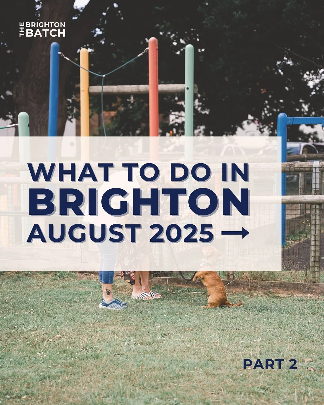 ☀️ Whats on in Brighton this August, part two

Stargazing, a market centring Black and POC vendors, a doggy fundraiser festival, a children&rsquo;s rave, and more. Here&rsquo;s what to do in town next month. 

#brighton #hoveactually #brightonandhove