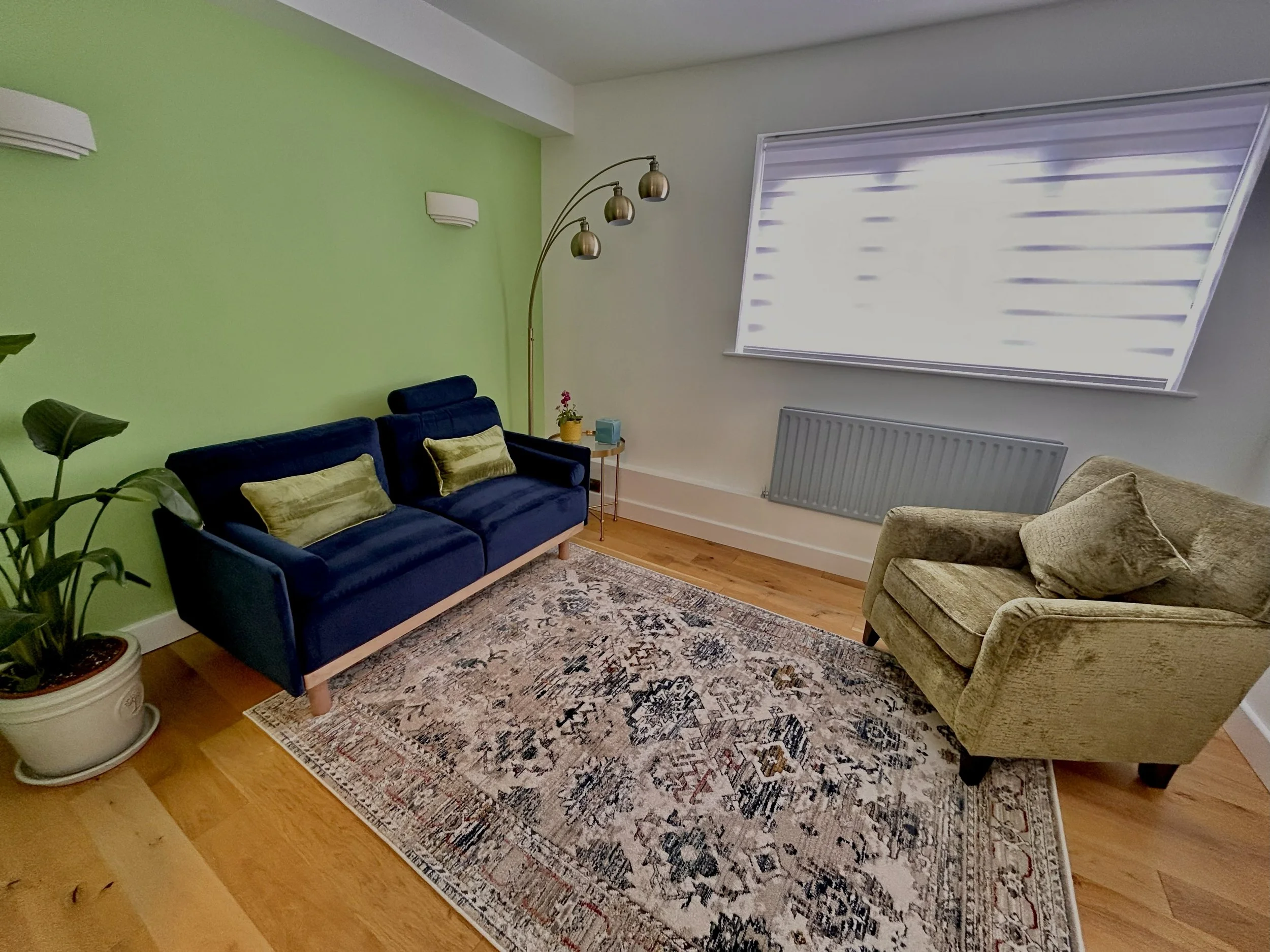 Living room with green accent wall, two sofas (one navy blue and one beige), a patterned area rug, a large window with blinds, a potted plant, and a floor lamp with multiple branches and metallic shades.