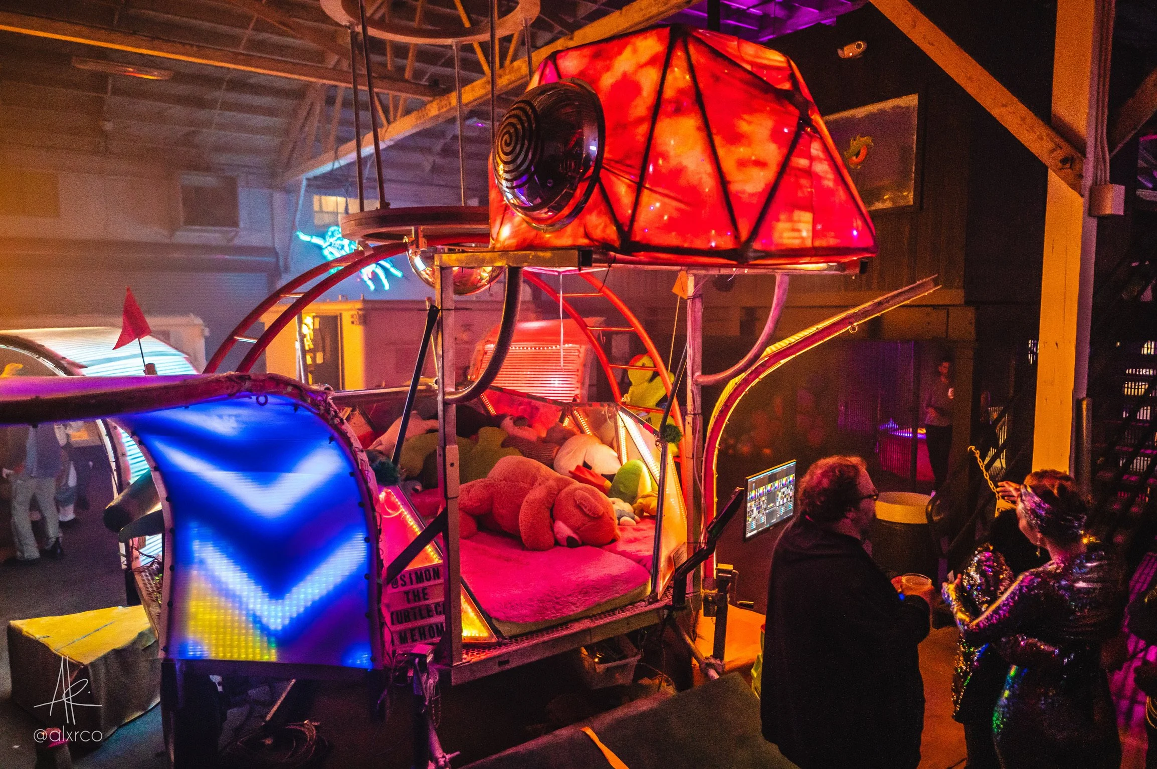 2022 - SIMON the TURTLE @ Walter WHERE?House 