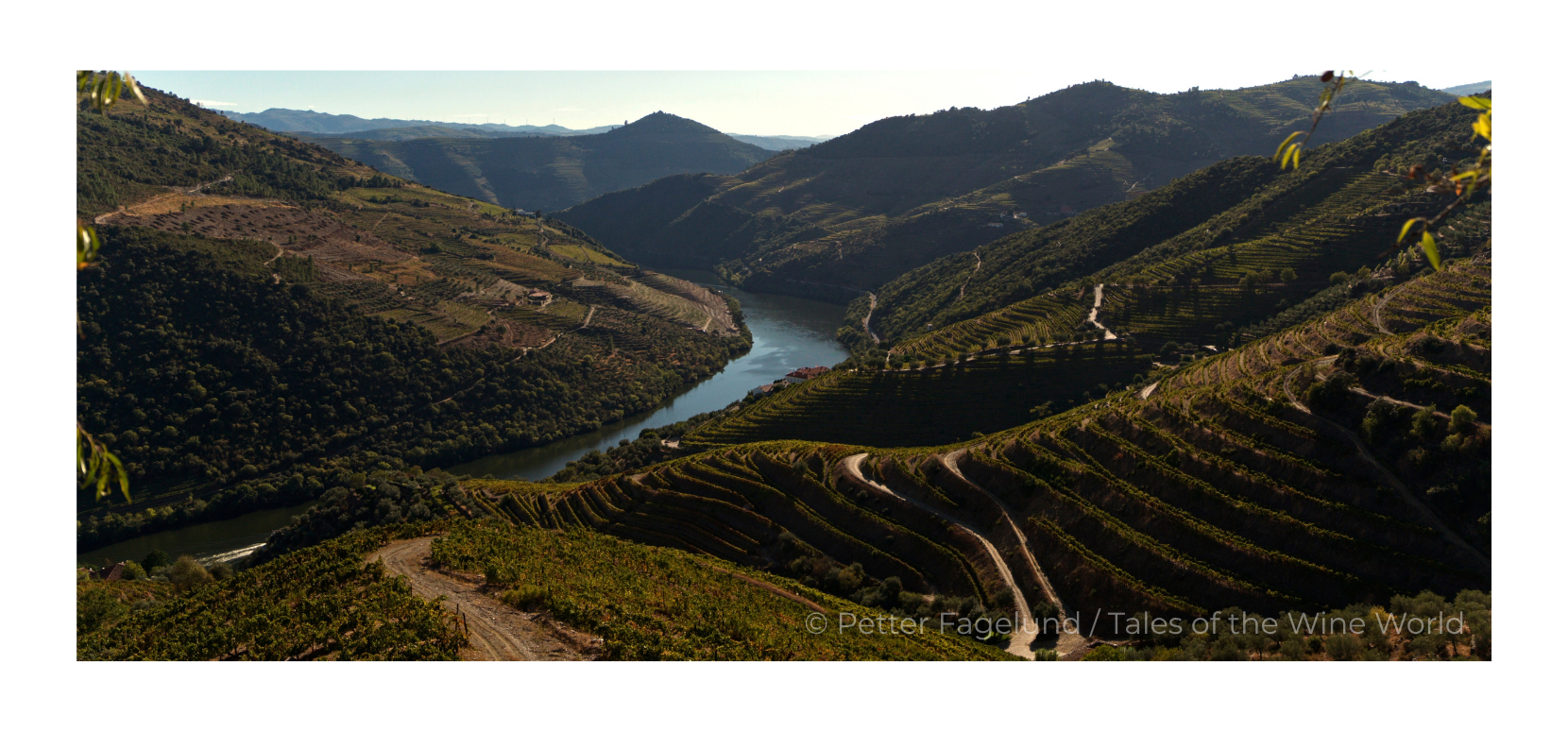 O Douro Infinito prox.png