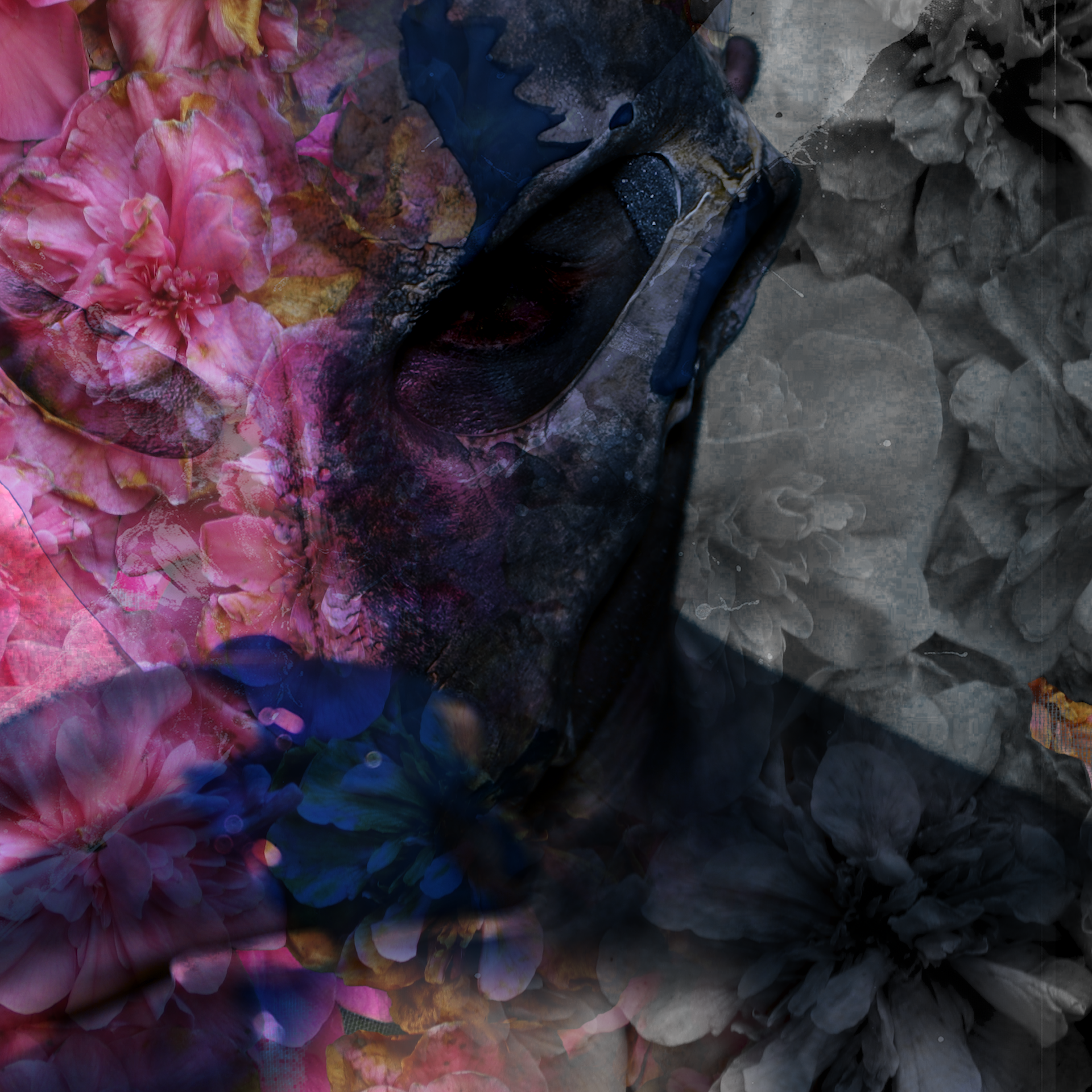 august 29th release date for ‘sgrios’ ep