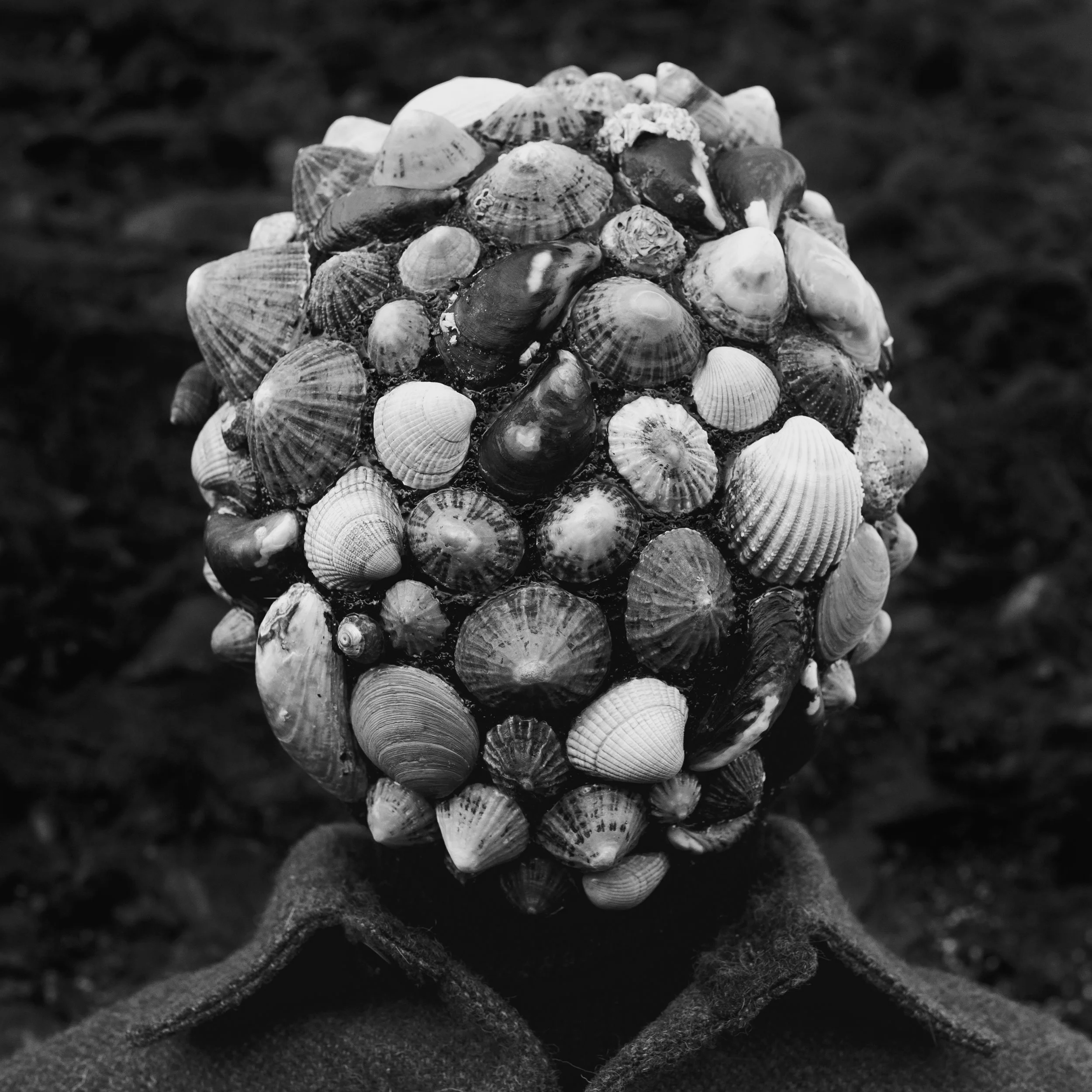 gun ghaol, salm dorchadas, figure with shells mask