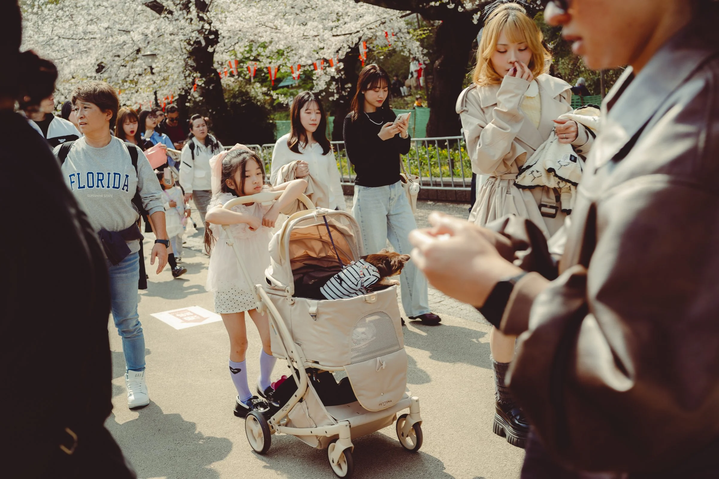 japan-16.jpg