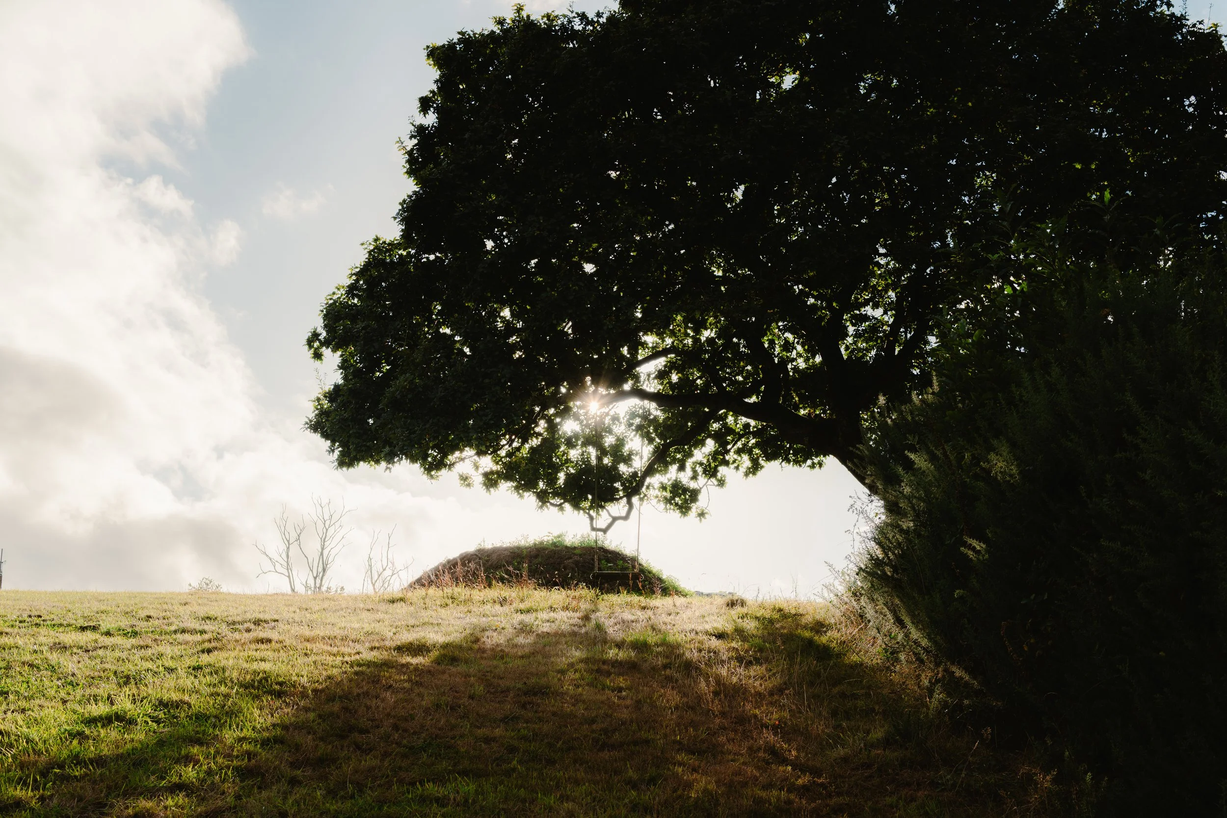 devon-43.jpg